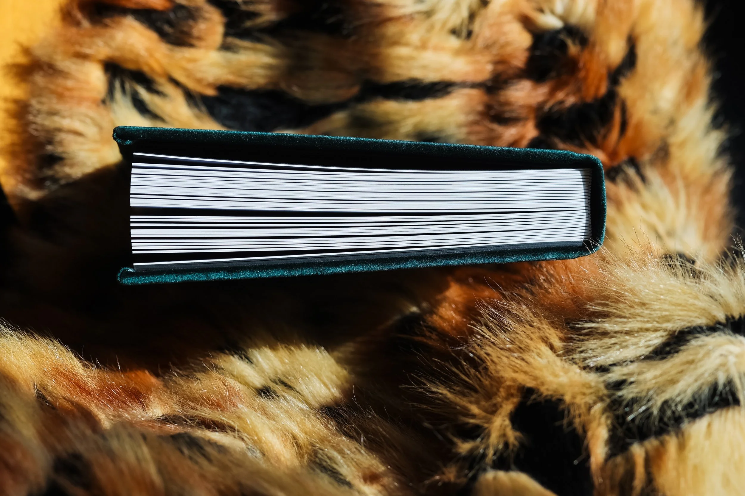 Close-up of a leopard's fur with a black and orange pattern, showing part of a black book or box placed on the fur.