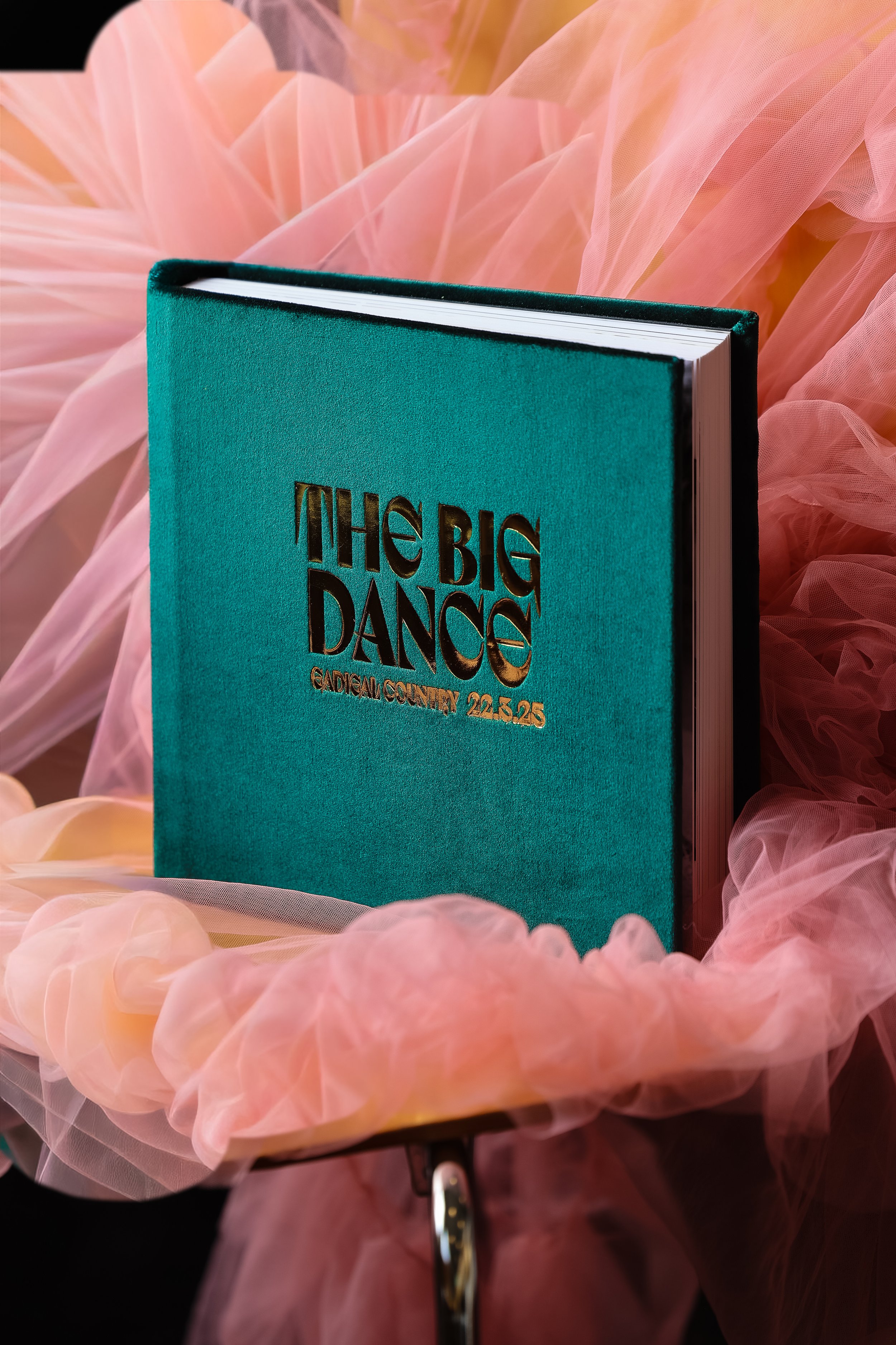 A teal book titled 'The Big Dance' with gold foil lettering, resting on a pink tulle or organza fabric backdrop.