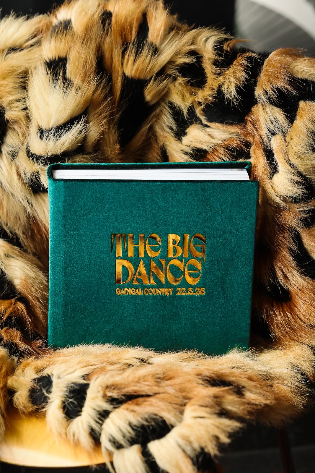 A green book titled 'THE BIG DANCE' with gold lettering and additional text 'GADIGAI COUNTRY 22.5.25' is held by a tiger's paw, with the tiger having orange and black striped fur.