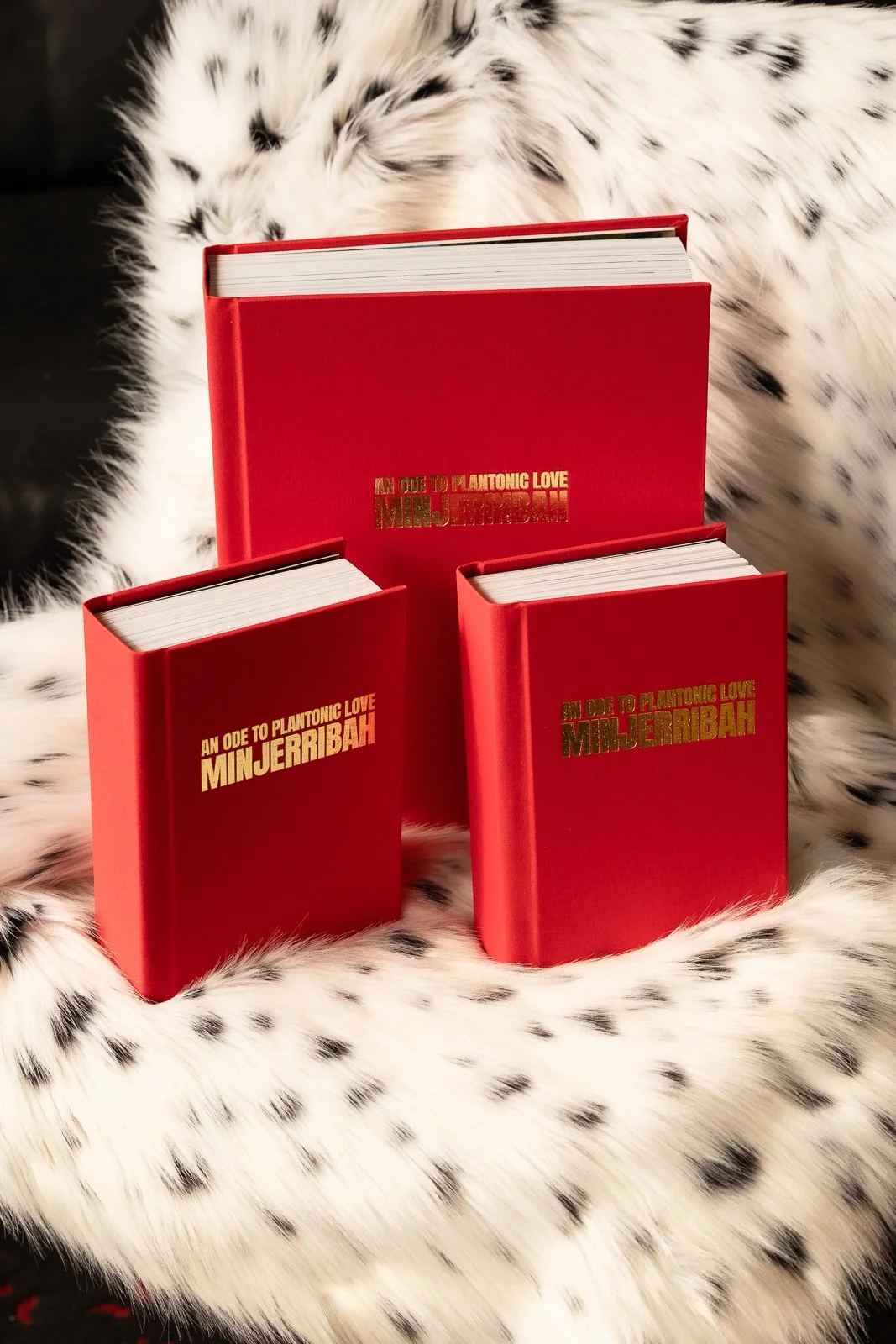 Three red books titled 'An Ode to Platonic Love Minjerribah' are placed on a white fur with black spots, with one larger book positioned behind two smaller books. The background appears dark.