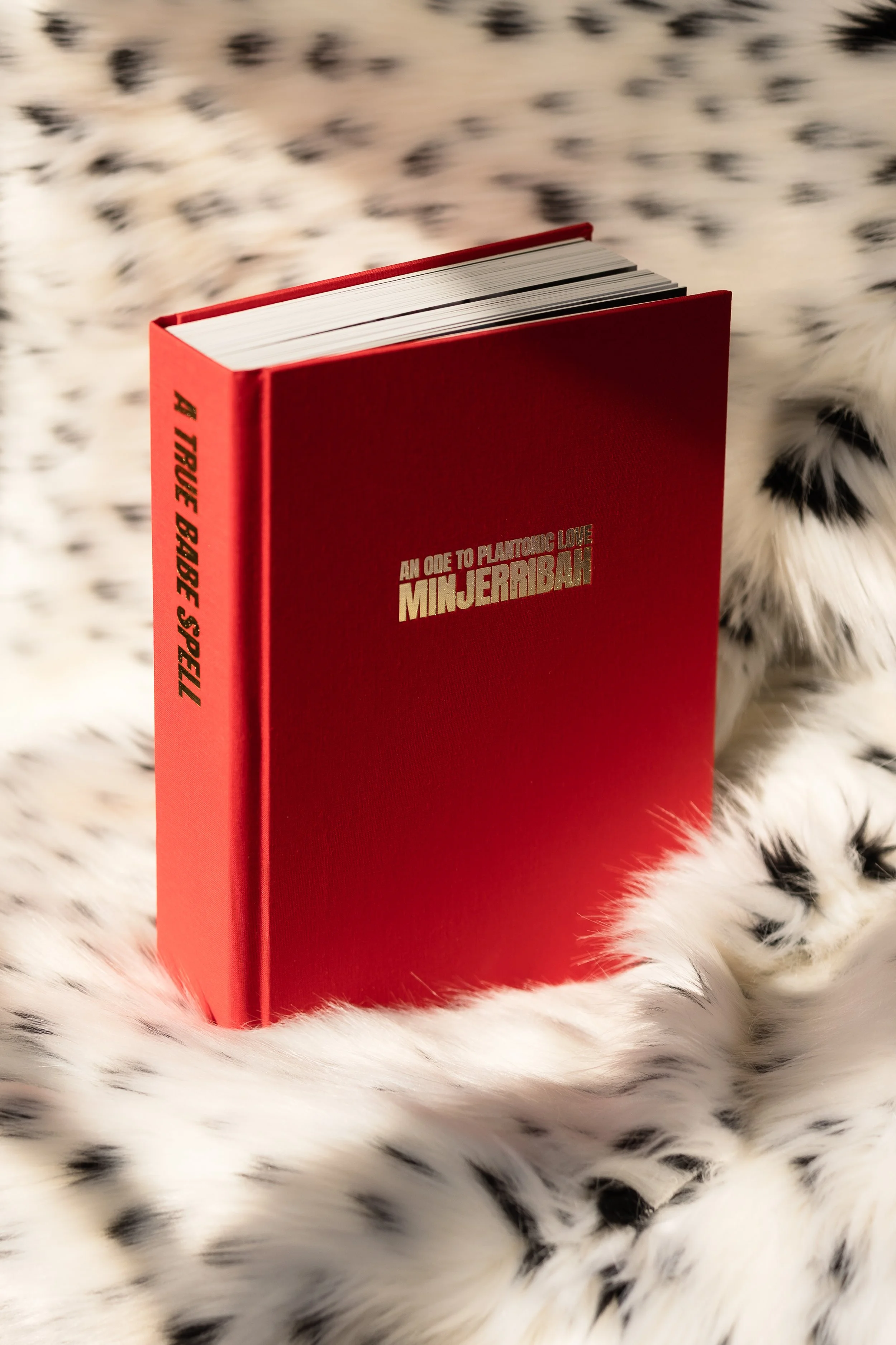 A red hardcover book titled 'An Ode to Platonic Love Minjeribban' is resting on a black and white spotted furry surface.