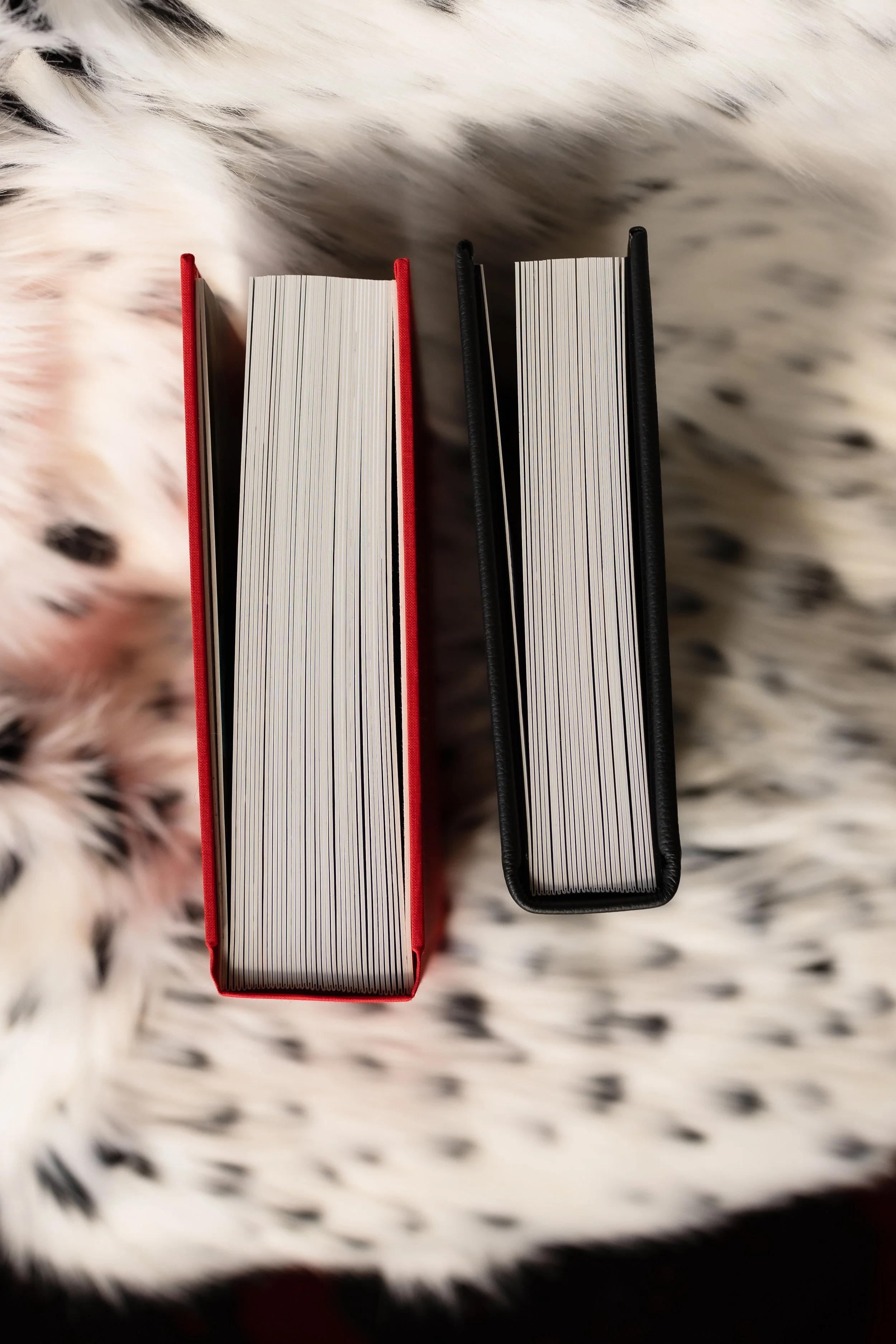 Two notebooks, one with a red cover and the other with a black cover, placed on a black and white spotted fur surface.
