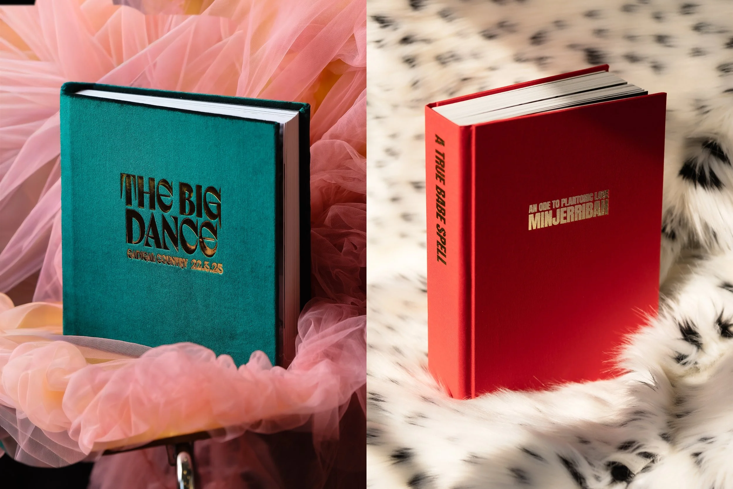 Two books on plush surfaces with pink tulle fabric on the left and white fur with black spots on the right. The left book is teal-colored titled 'The Big Dance' with gold text, and the right book is red titled 'A Type Baby' with white text.