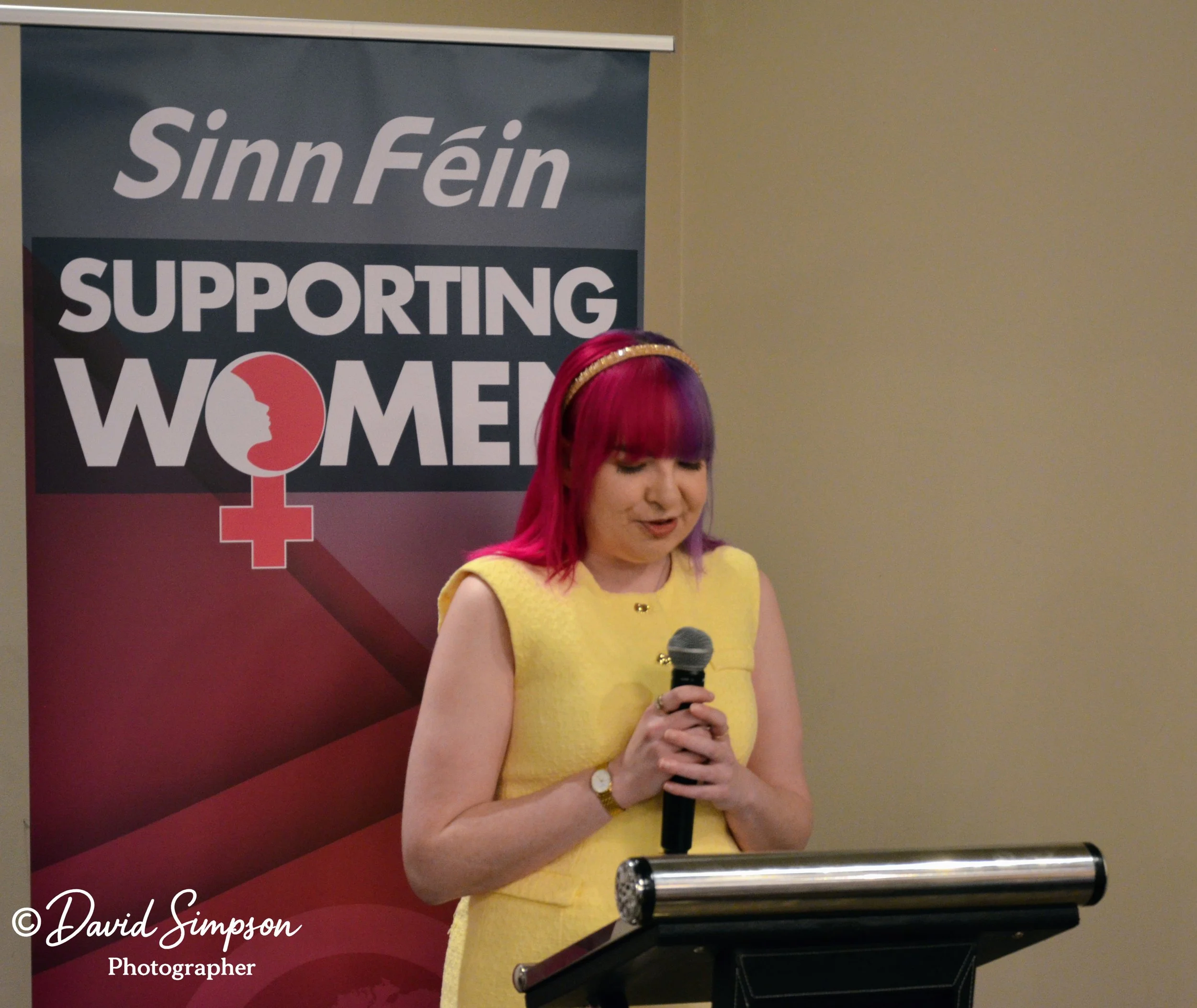 Sinn Féin Public Meeting on Endometriosis