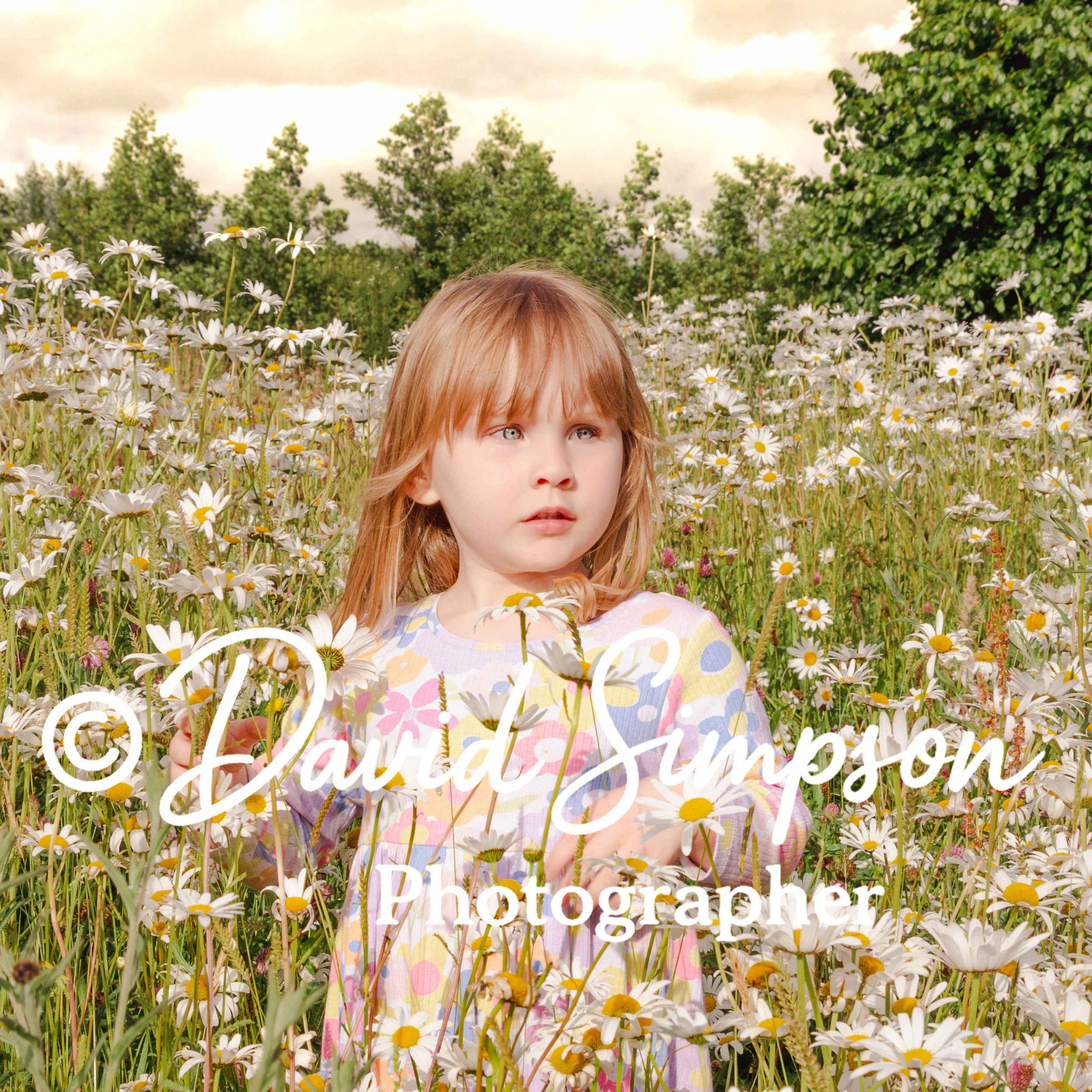 wild flowers girl outdoor