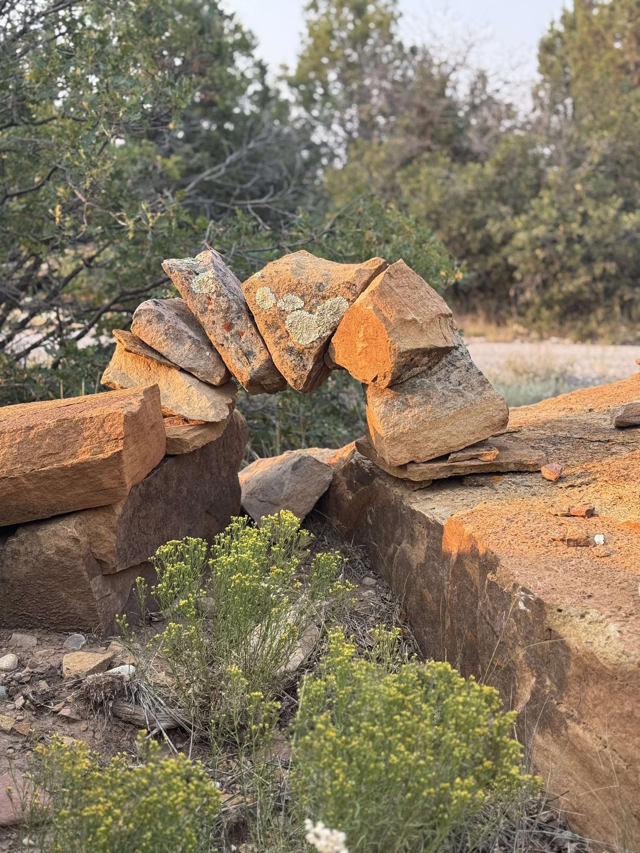 There Is No Timeline for Grief - And That Is Ok