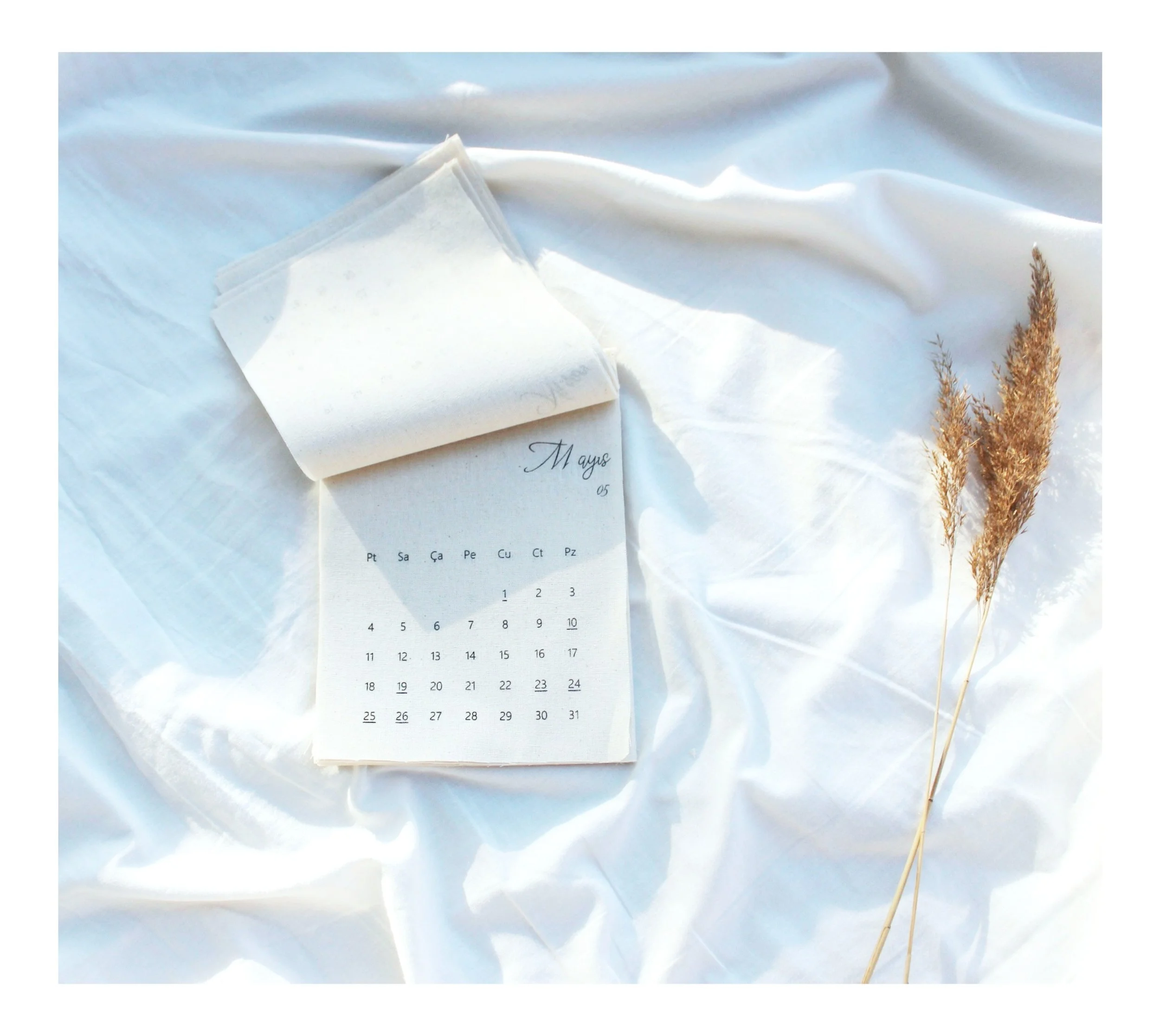 January calendar page on wooden surface with plant and magnifying glass