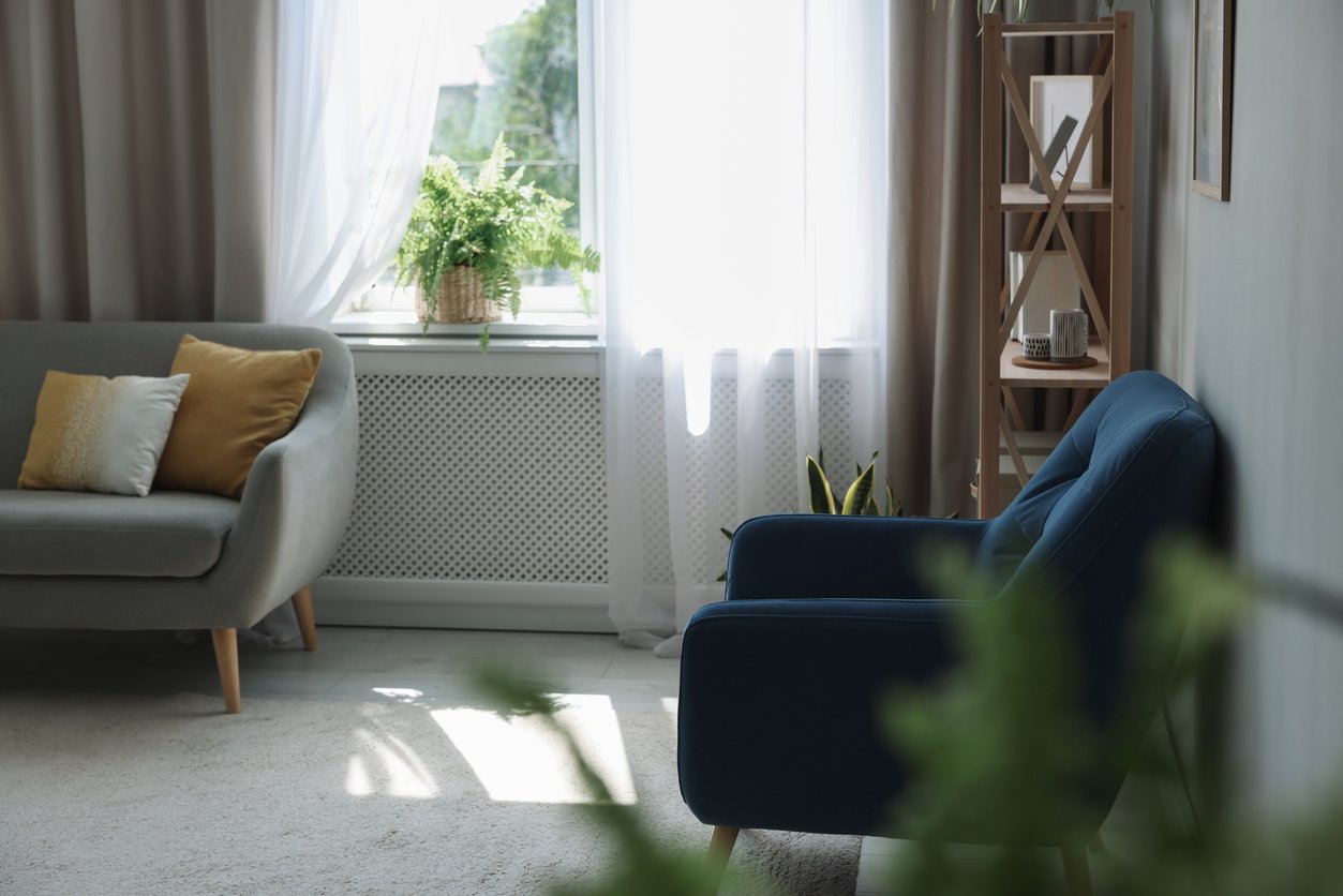 A sprig of eucalyptus in soft daylight, from the practice of Dr. Catherine Koverola, therapy and executive coaching for those who lead and serve.