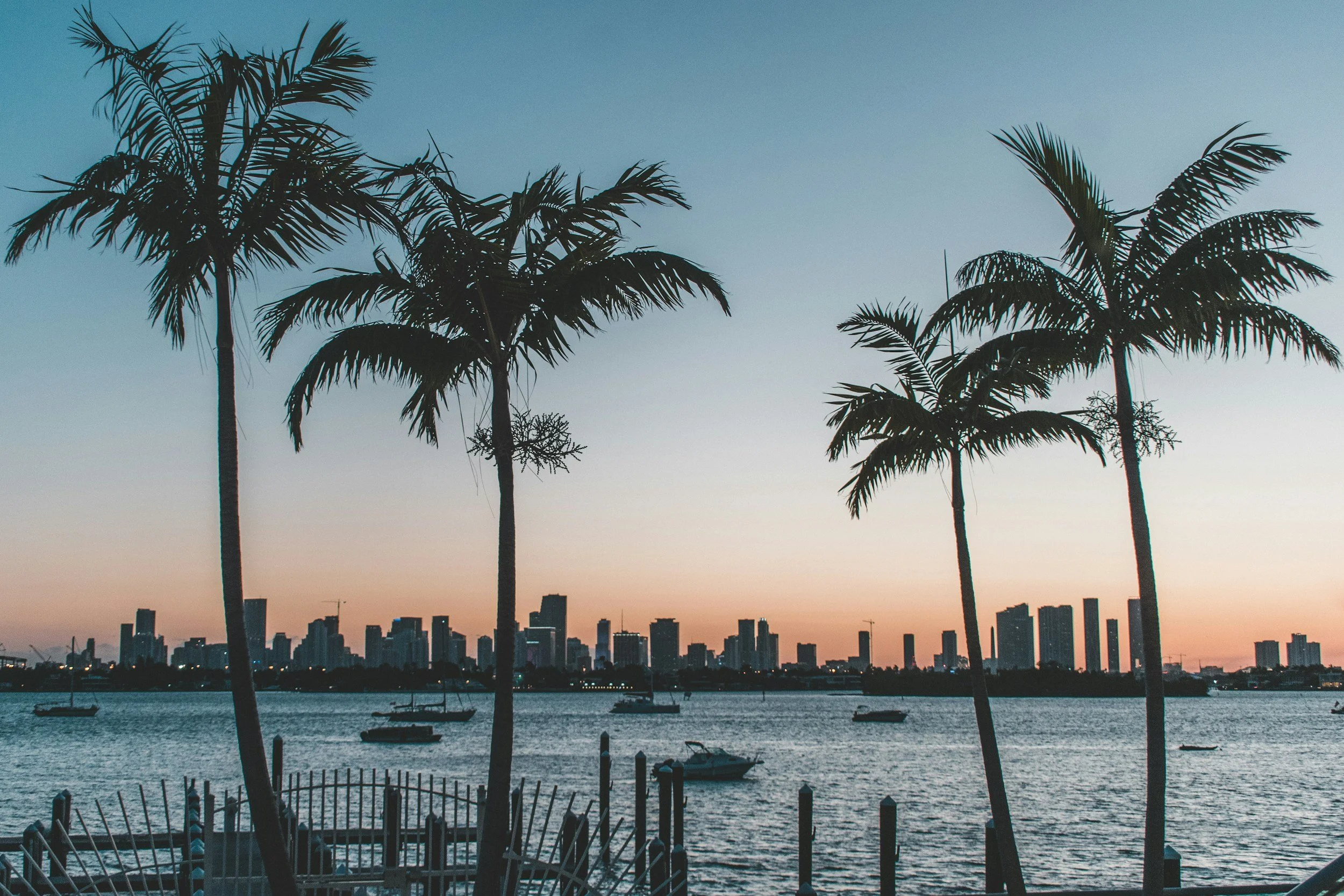 Palm trees silhouetted against a city skyline at sunset with boats on the water.