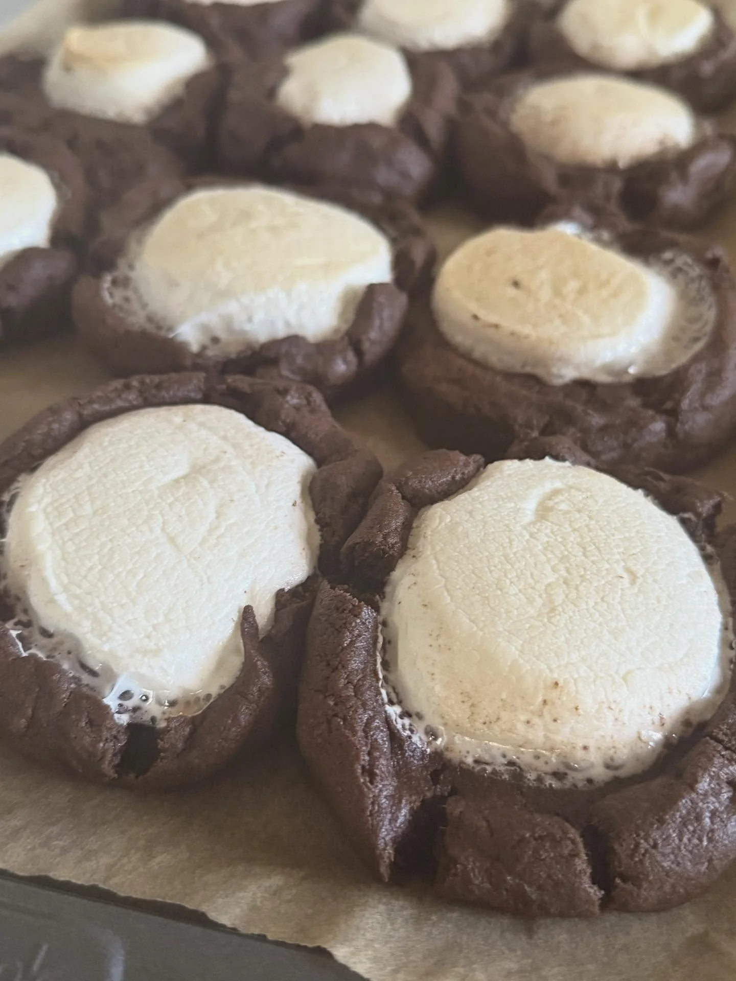 Marshmallow Hot Cocoa Cookies! Available this week at @dtlfarmersmarket @hivepublicmarket