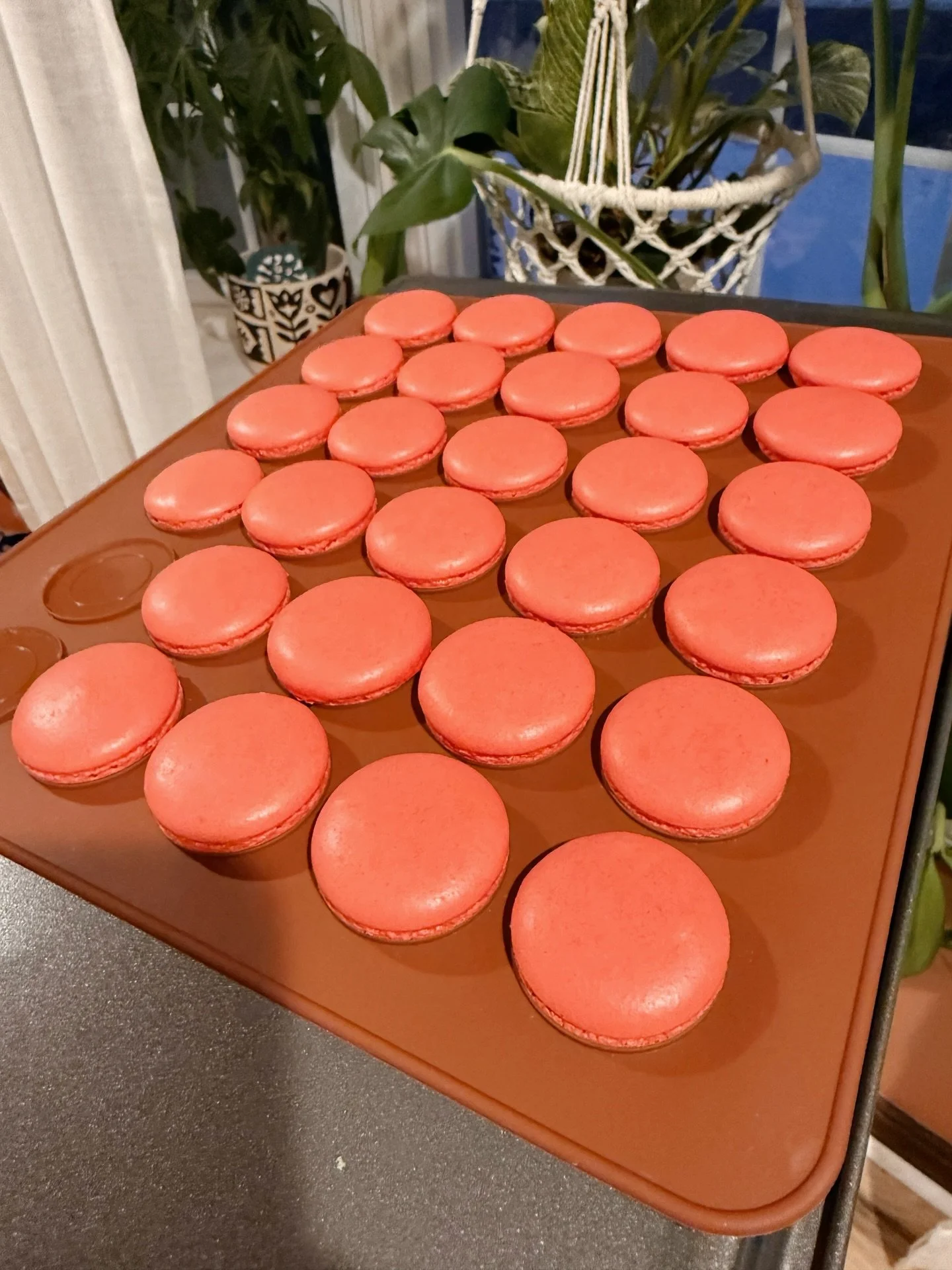 Perfect little shells for some strawberry macarons 🍓 
.
#macarons #frenchmacarons #strawberrymacarons