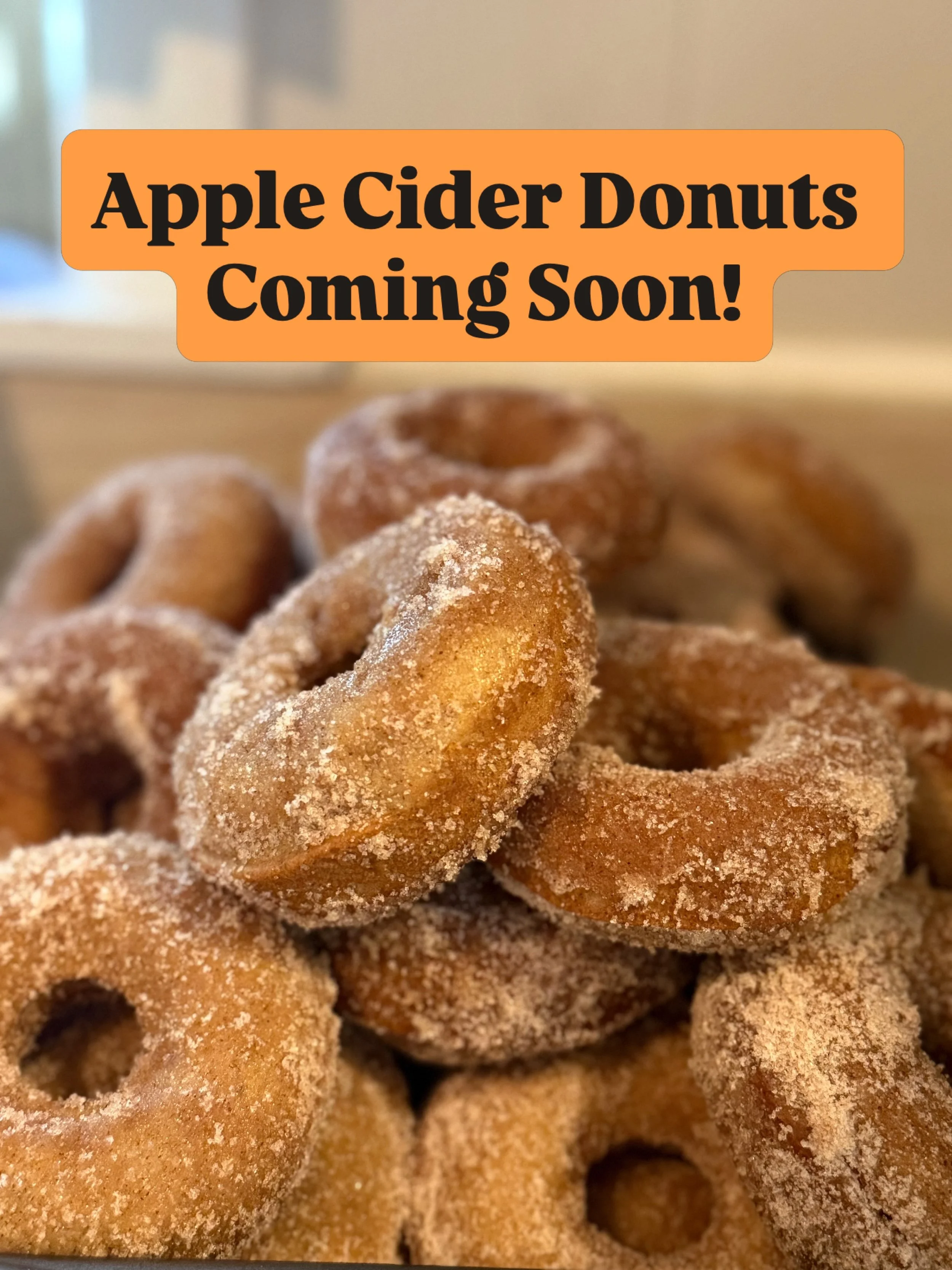 September 1st means Apple Cider Donuts season! Starting September 13th we will have apple cider donuts at the shop on Sundays and at @broxfarm on Sundays! All donuts are baked to perfection 🍎 #shoplocal #appleseason