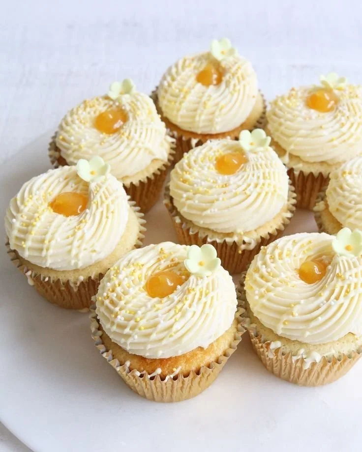 Premium Cupcakes (Dozen)