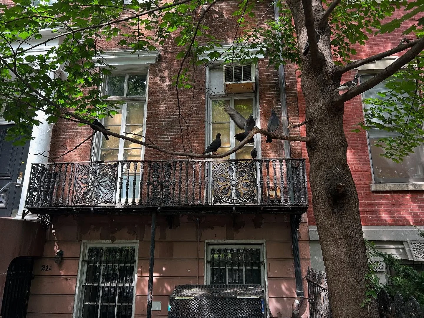 spent my summer looking for carson&hellip;didn&rsquo;t find him&hellip;