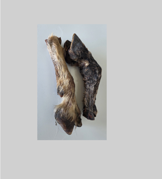 Screenshot 2026-01-13 180032.png