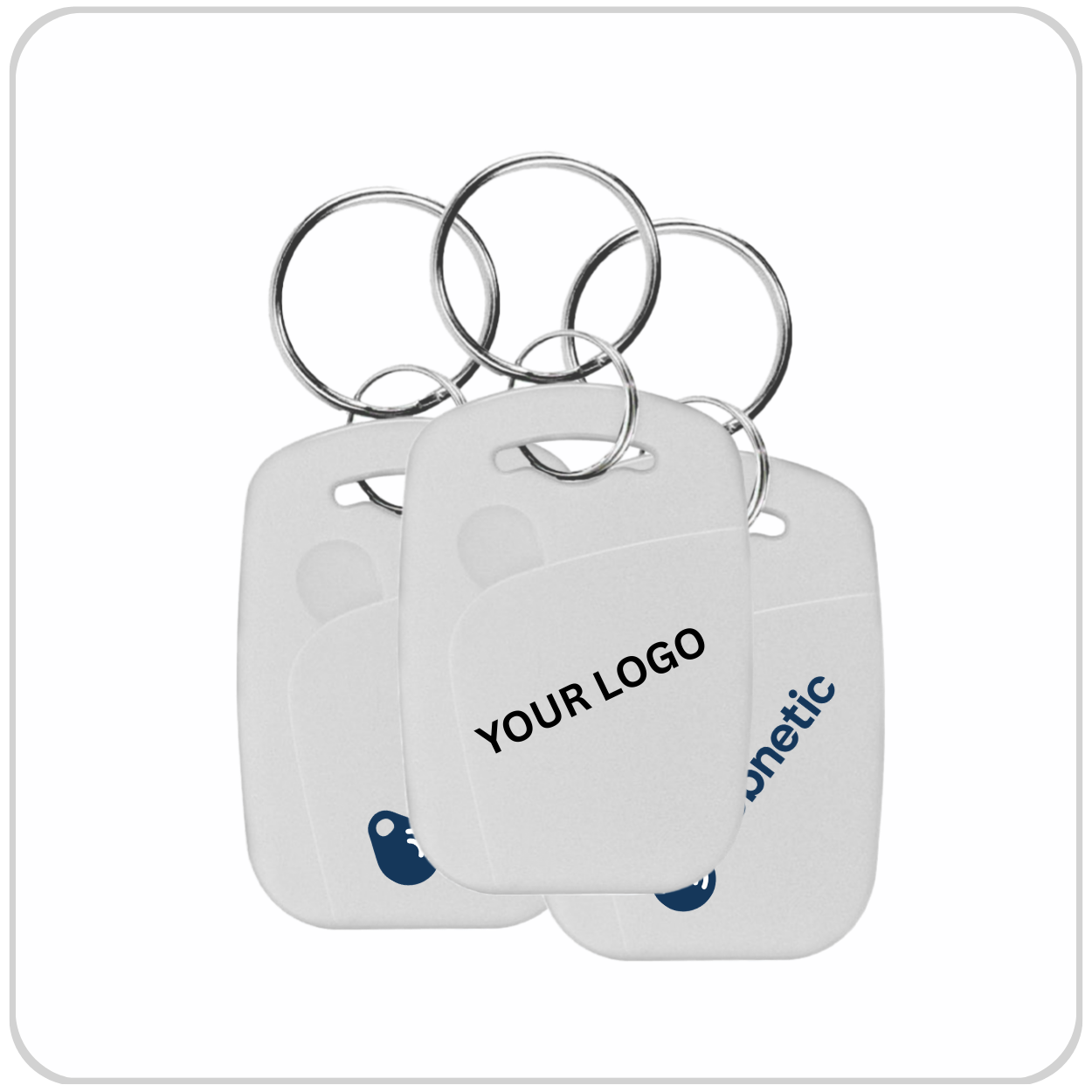 Copy of Copy of fob box (1).png