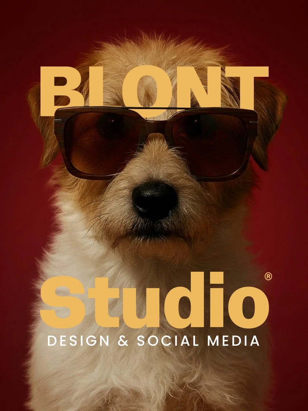 Archie.
BLONT certified Feelgood Manager.

Wichtigstes Daily To-Do:
✔️ Feierabend einl&auml;uten.
L&auml;uft zuverl&auml;ssig. 😜

#officedog #snacksecurity