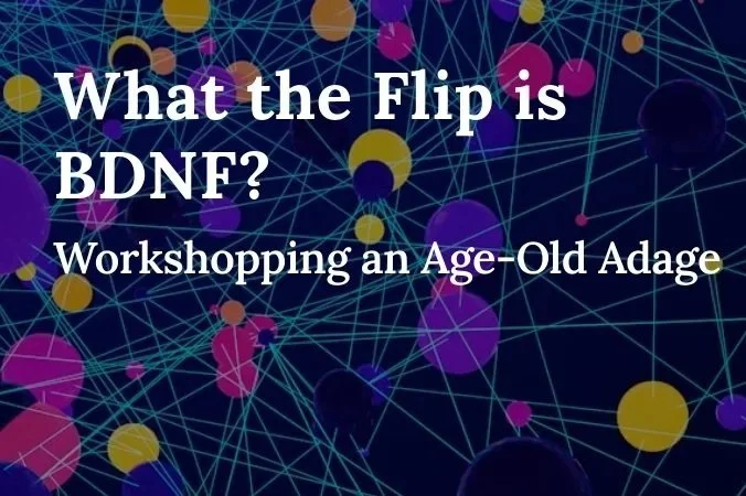 What the Flip is BDNF?