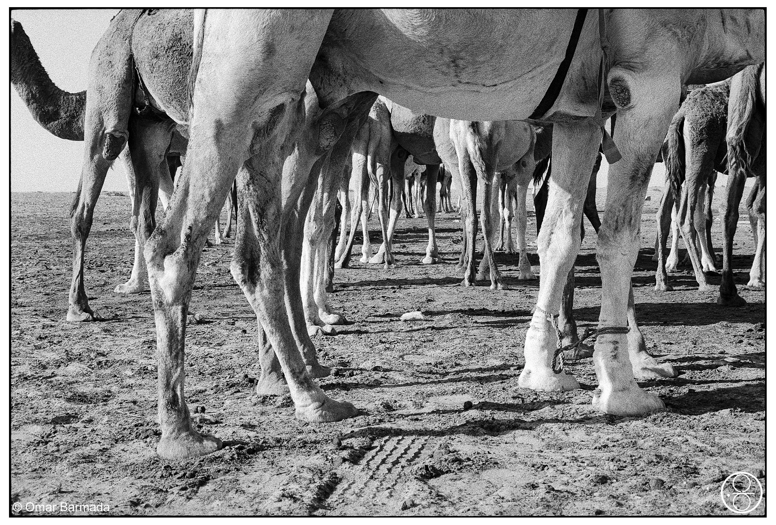 omar barmada, photographe, photographie d'auteur, Dakhla, Maroc, Morrocco
