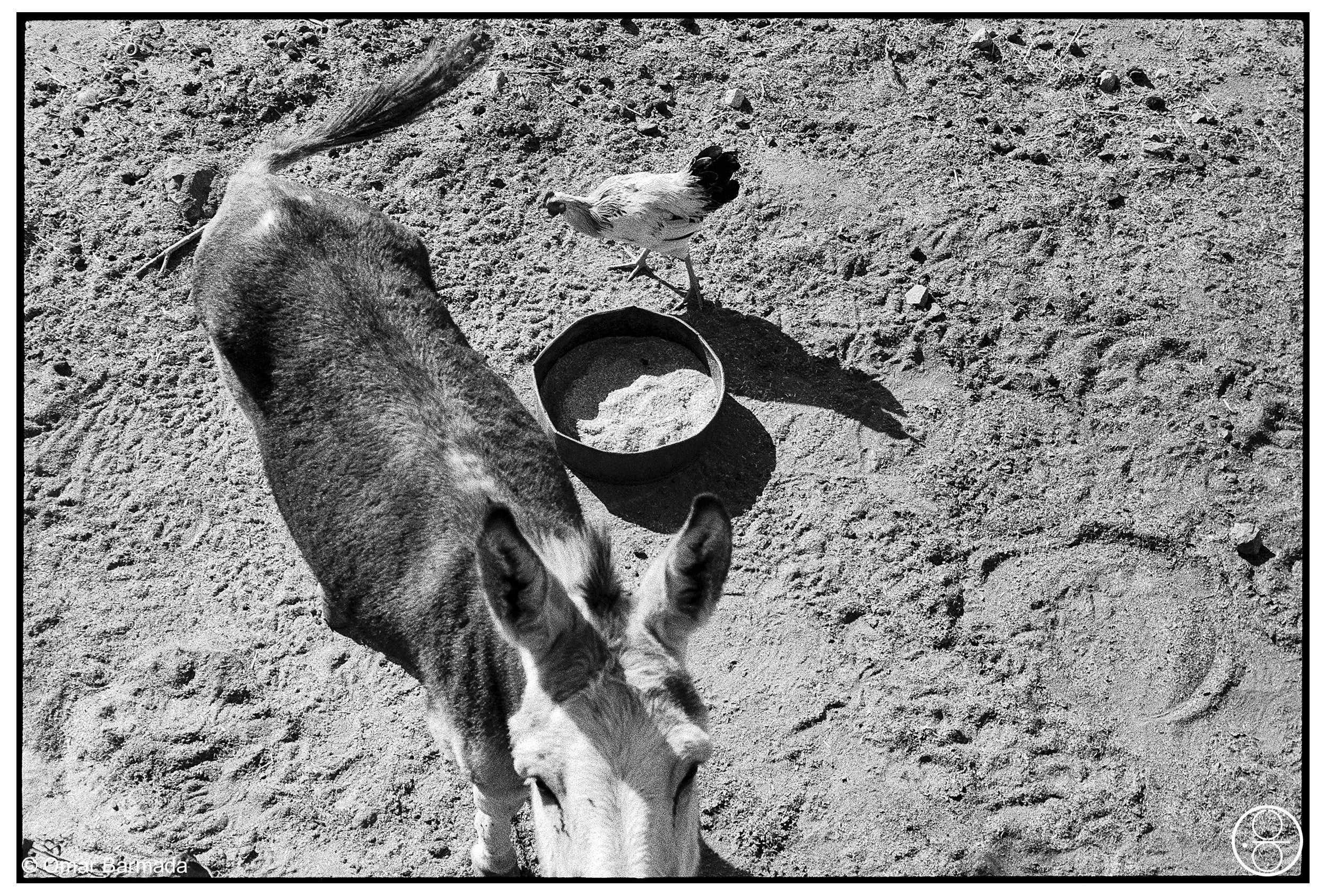 omar barmada, photographe, photographie d'auteur, Maroc, Morrocco