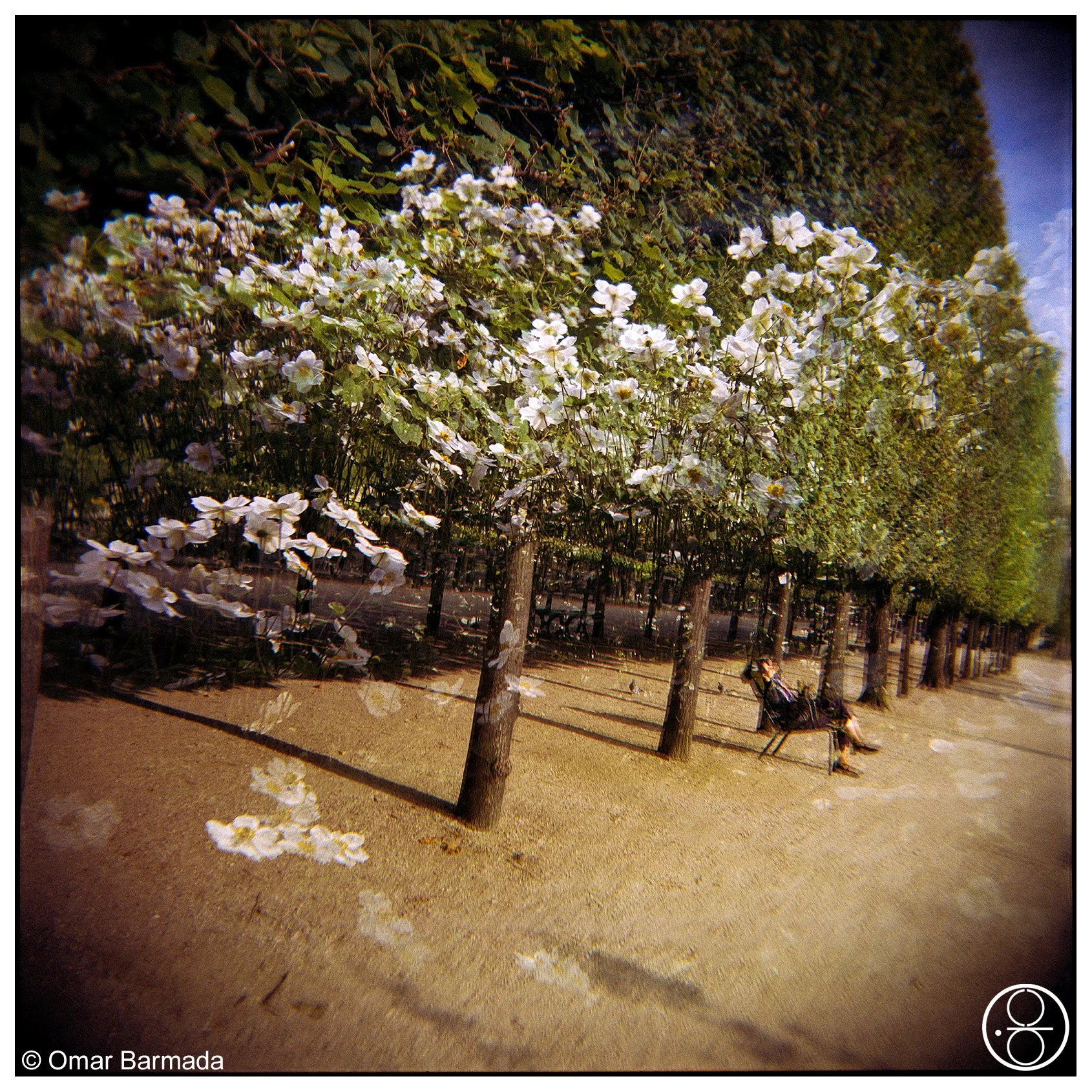 omar barmada, photographe, photographie d'auteur, Paris, France
