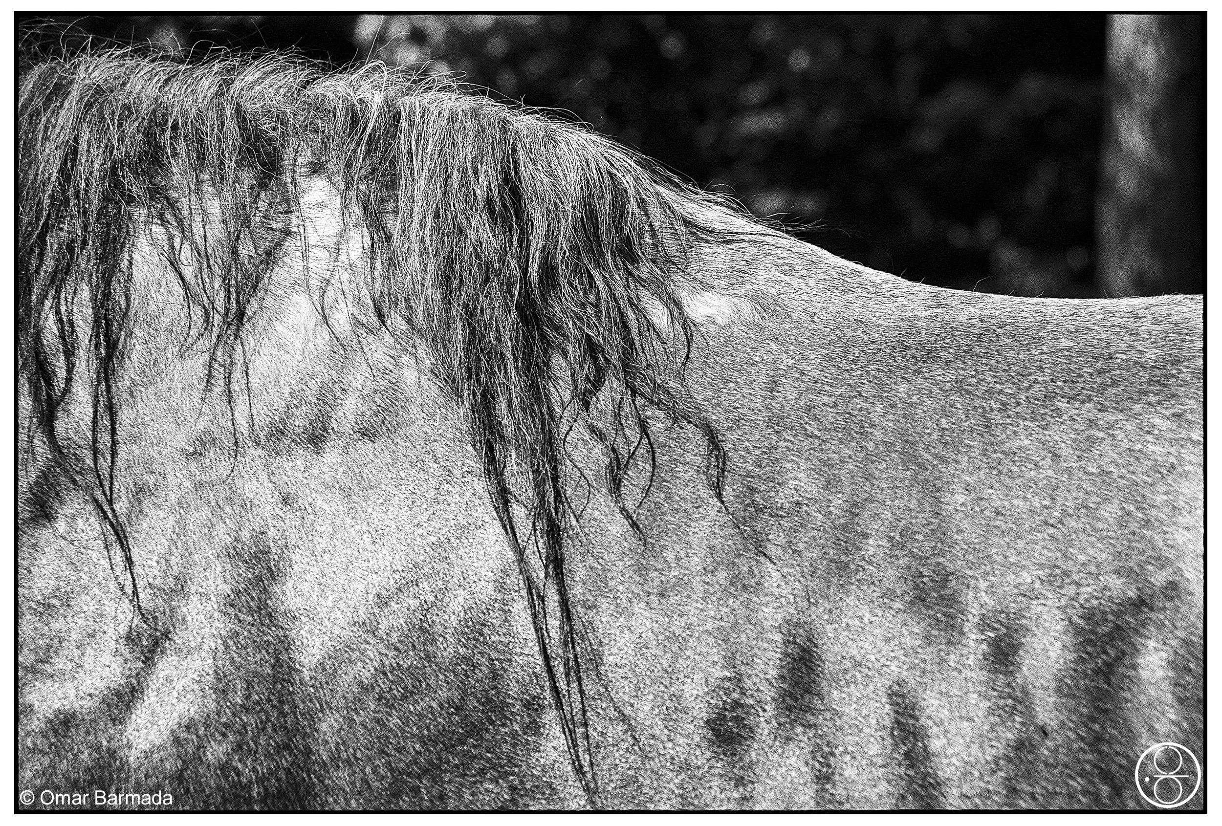omar barmada, photographe, photographie d'auteur, Pessac, France