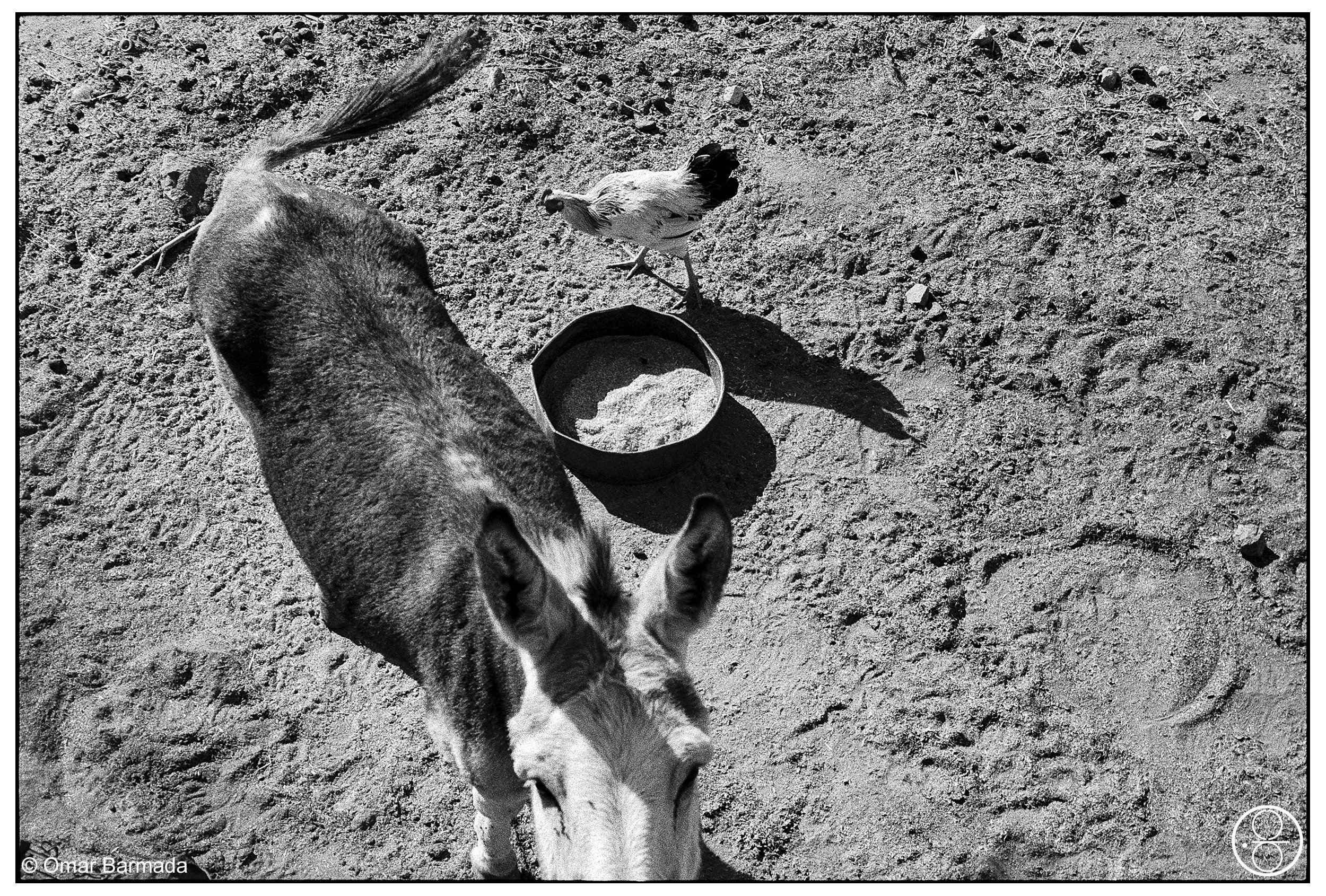omar barmada, photographe, photographie d'auteur, Maroc, Morrocco
