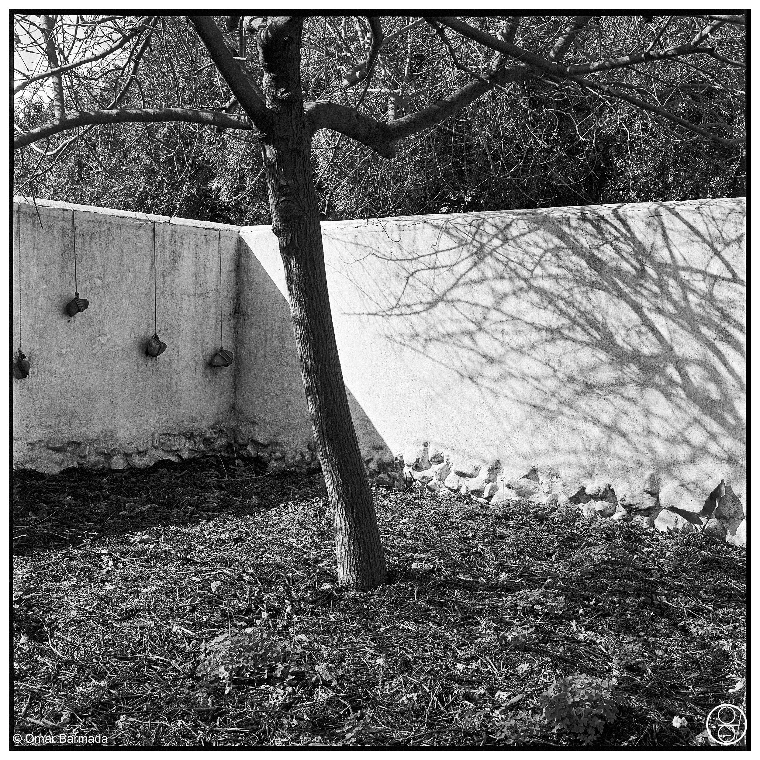 omar barmada, photographe, photographie d'auteur, Babylon Storen, Paarl, Afrique du Sud, South-Africa