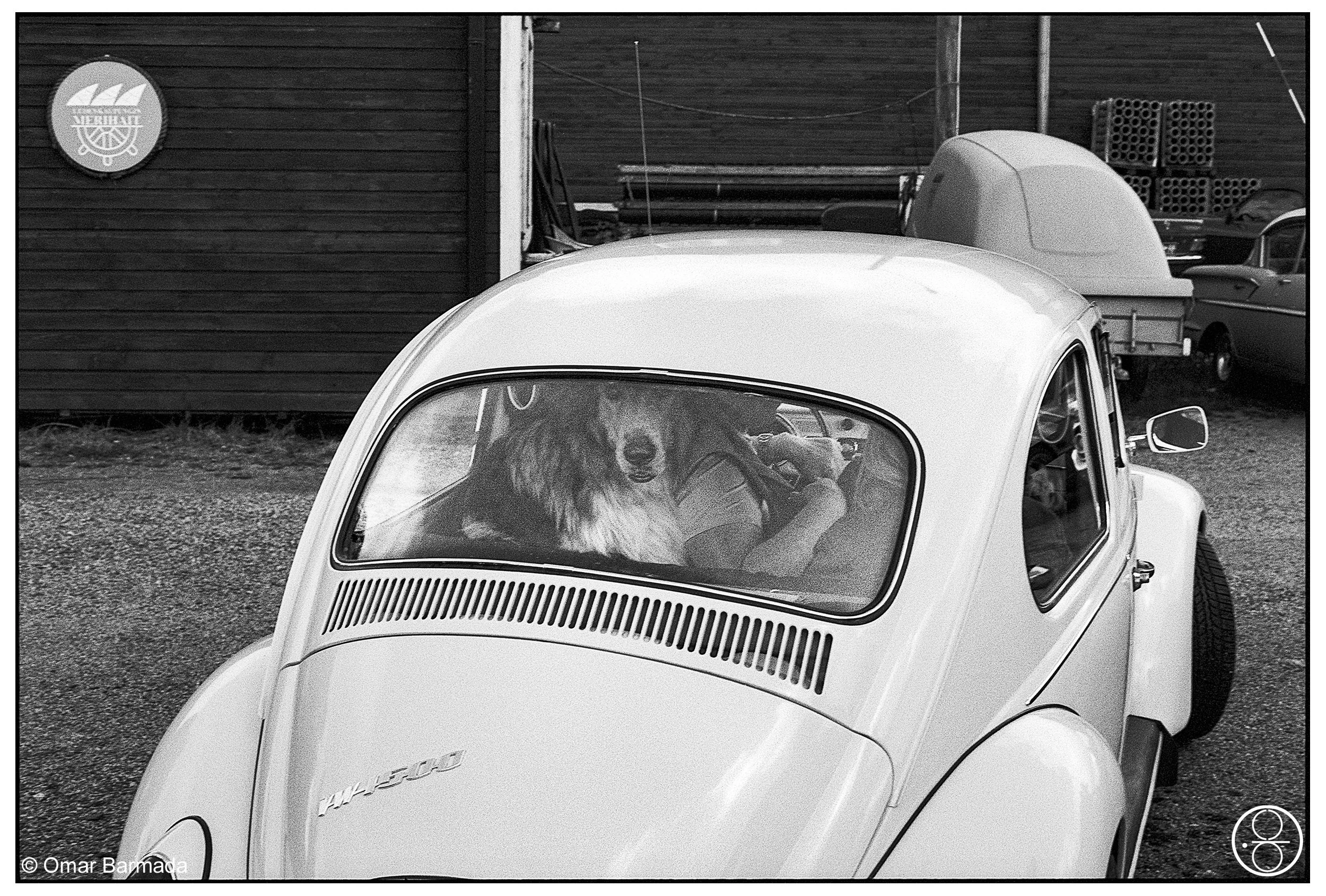 omar barmada, photographe, photographie d'auteur, Uusikaupunki, Finlande, Finland