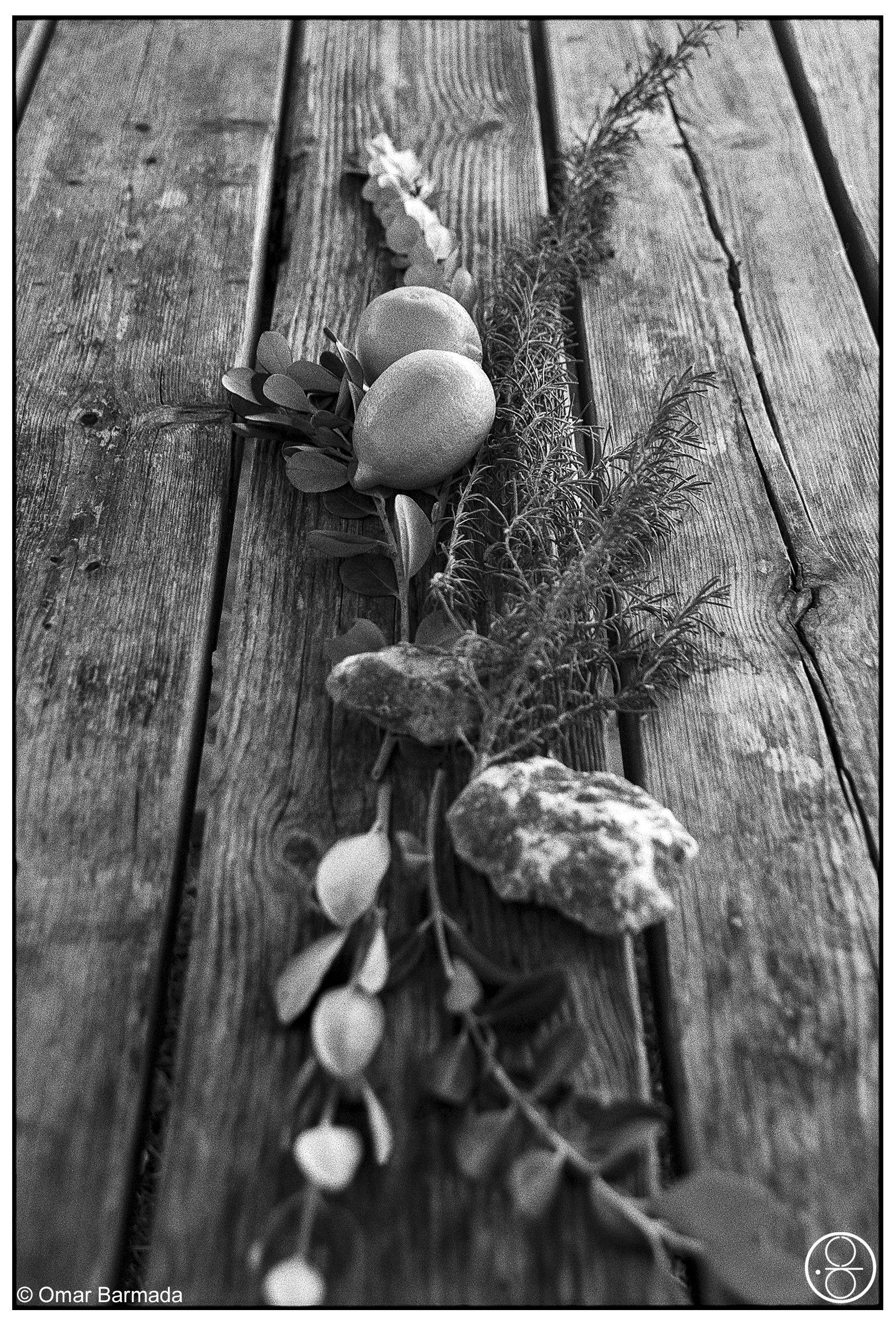 omar barmada, photographe, photographie d'auteur, Minorque, Espagne, Spain