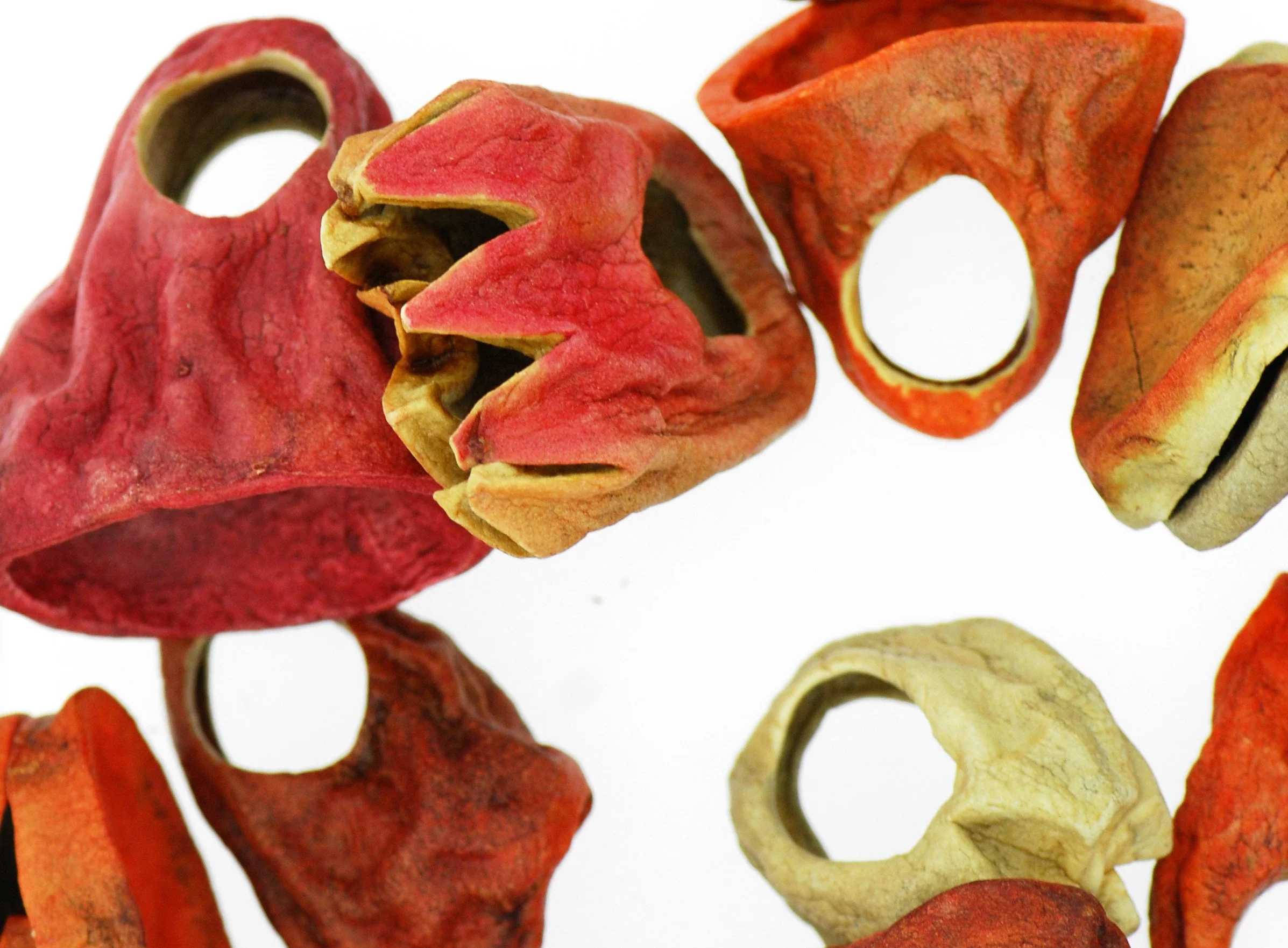 dyed, carved, dried, sculpted potato rings