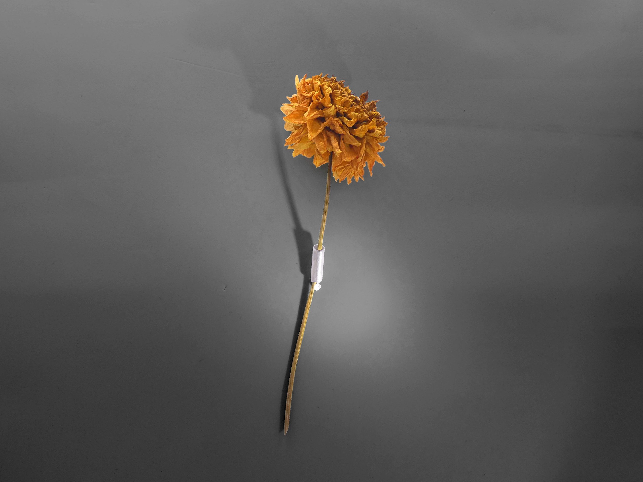P1200025_2_grey-bg_squarespace.jpg