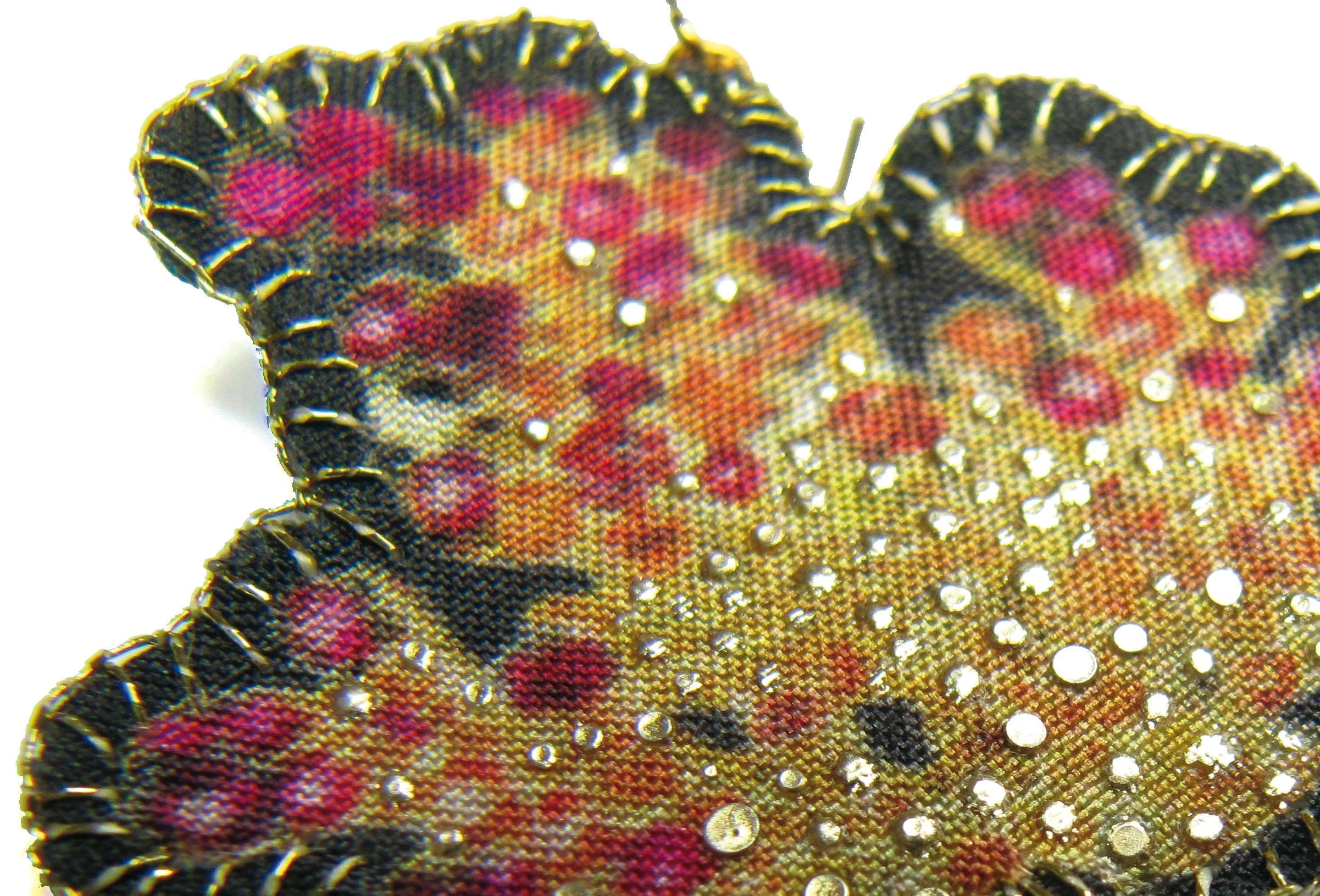 Suzanne: detail