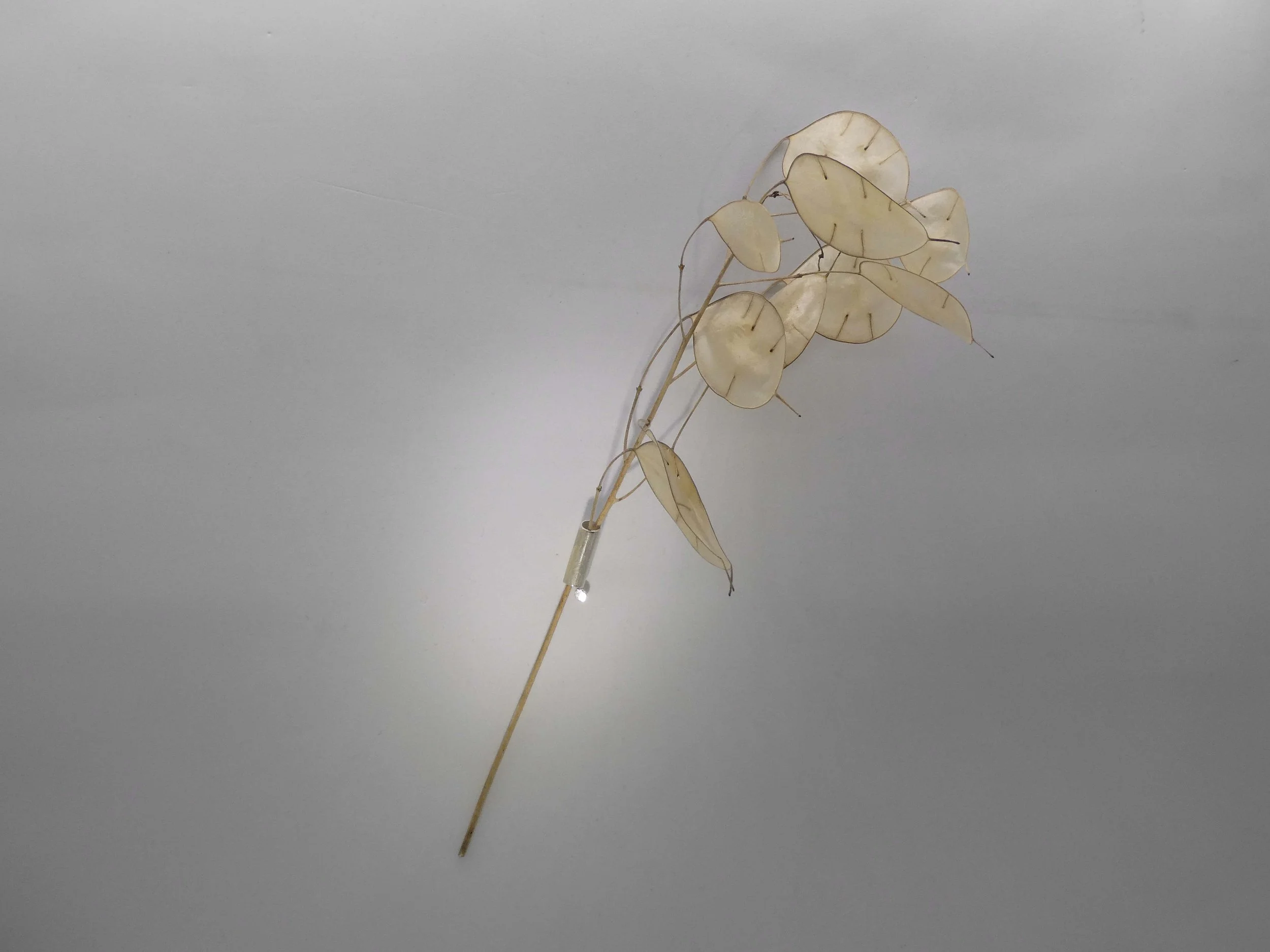 Minimalist silver brooch handmade in Switzerland, contemporary jewelry designed to hold a flower or leaf for a natural, seasonal look