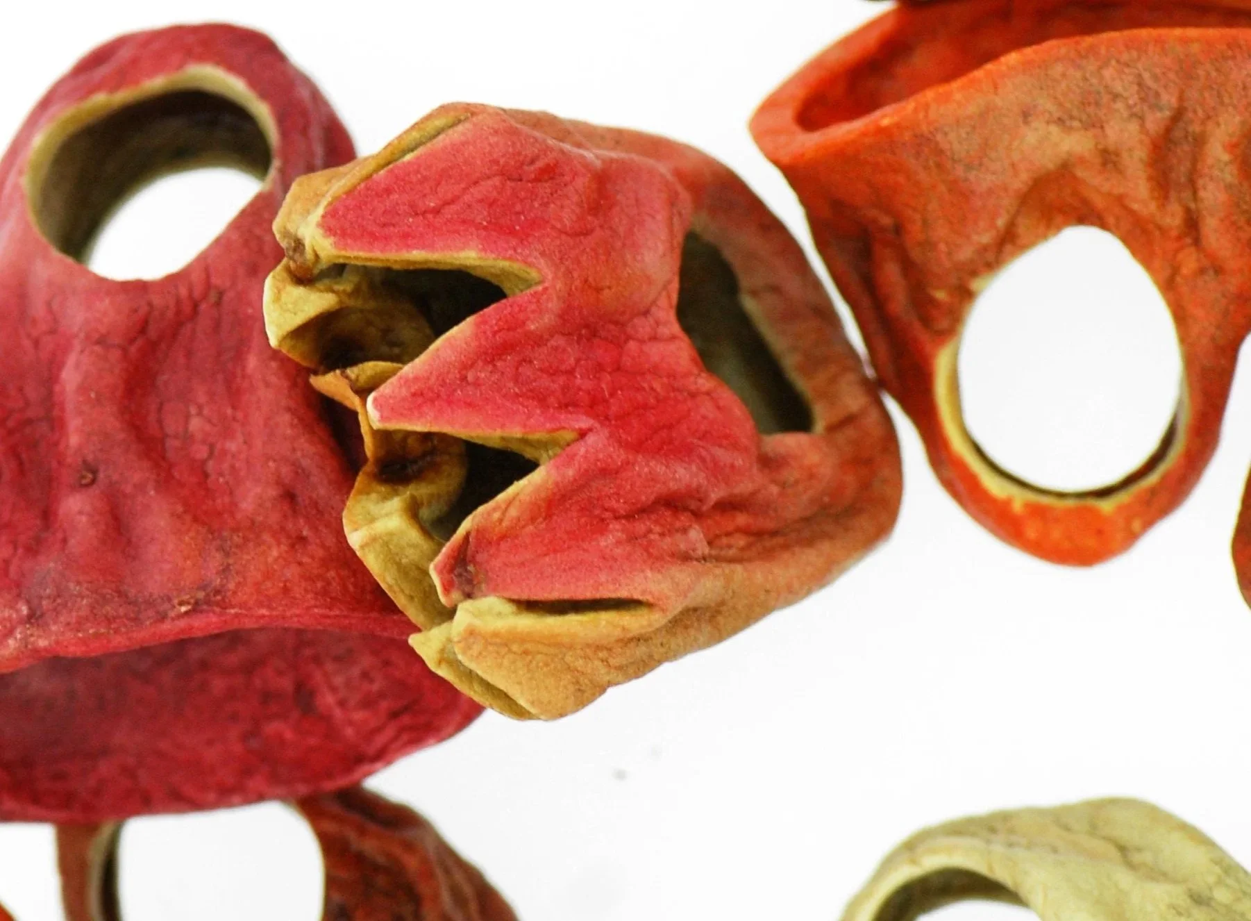 Miscellaneous (2003-2005)