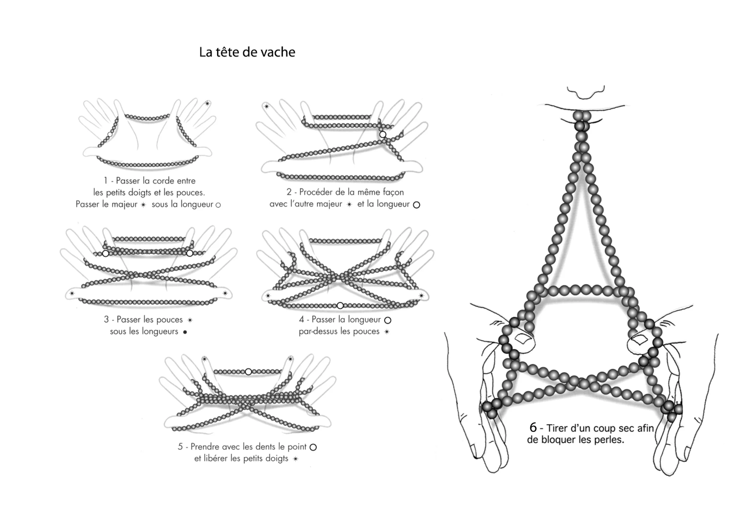 La tour Eiffel / Tête de vache