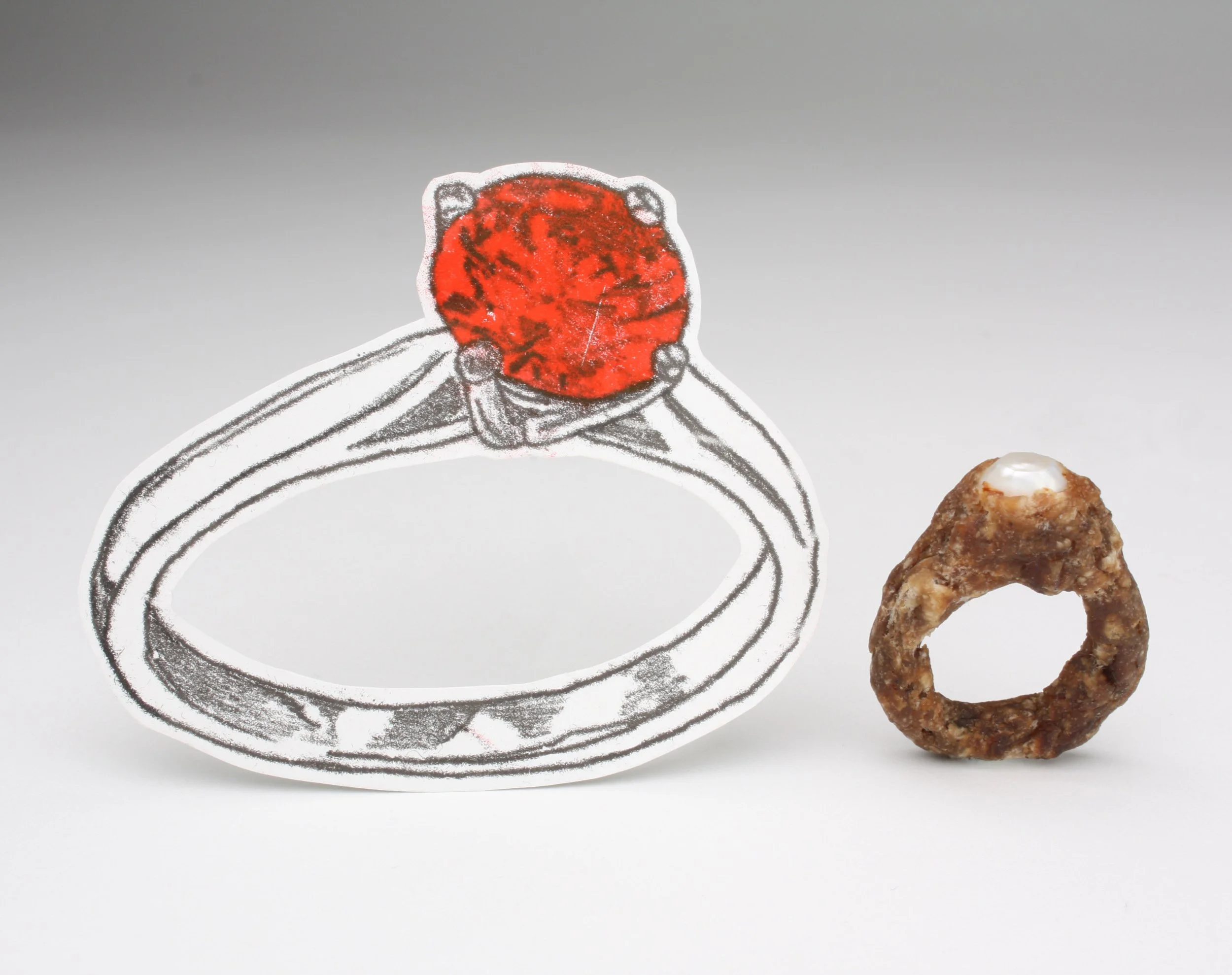 Drawing and meat rings