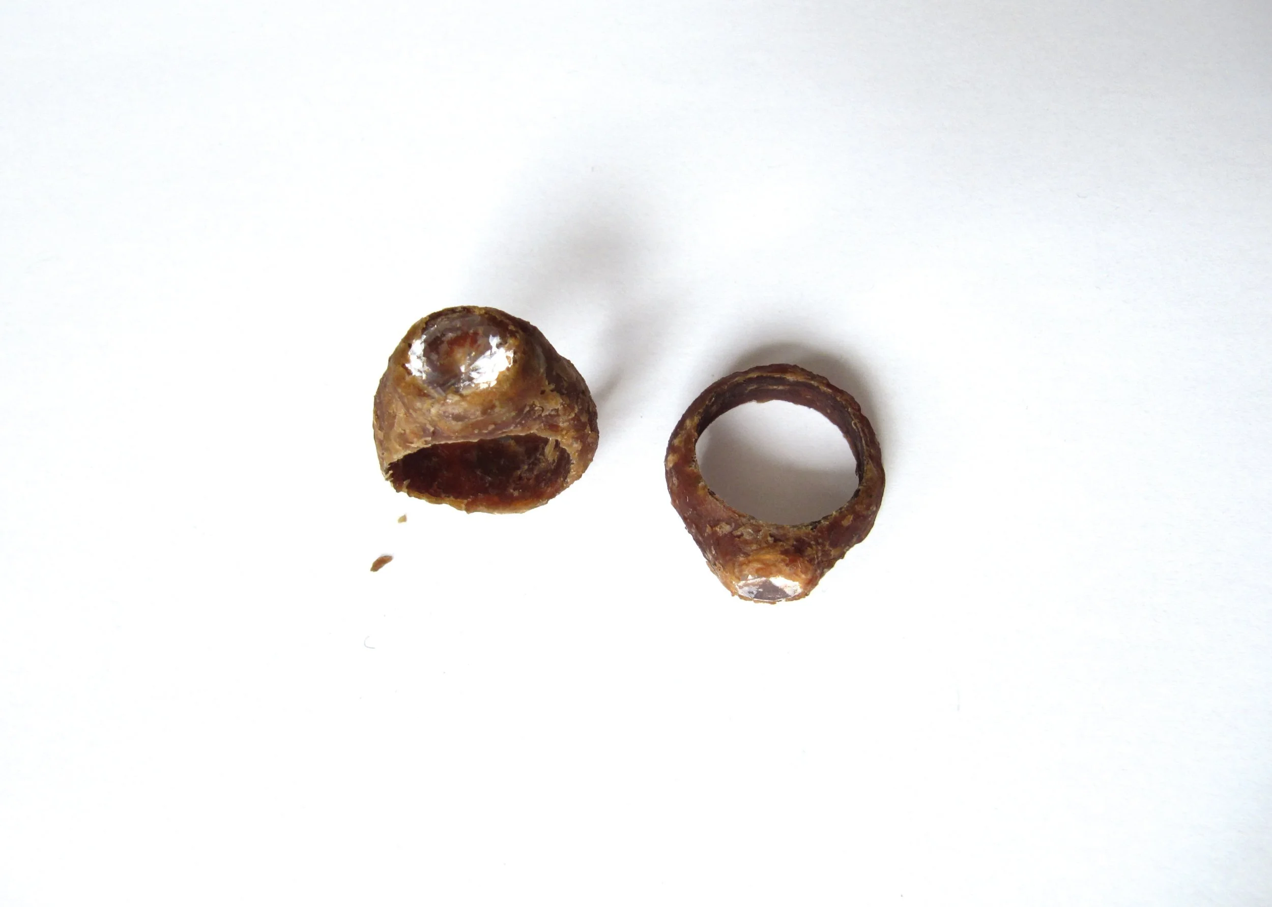 Meat ring, meat and swarovski ring-object