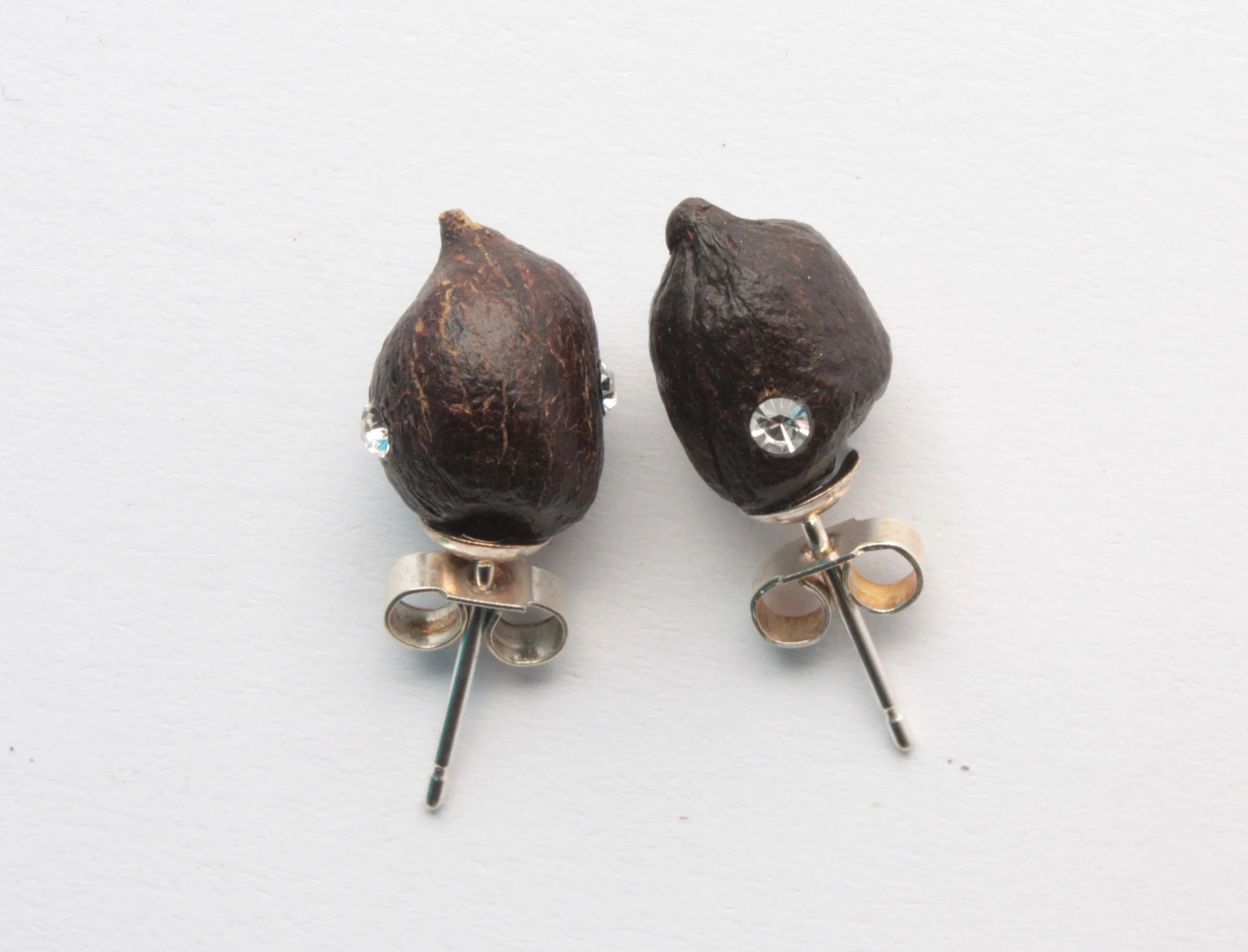 Goat excrements, swarovski and silver ear studs