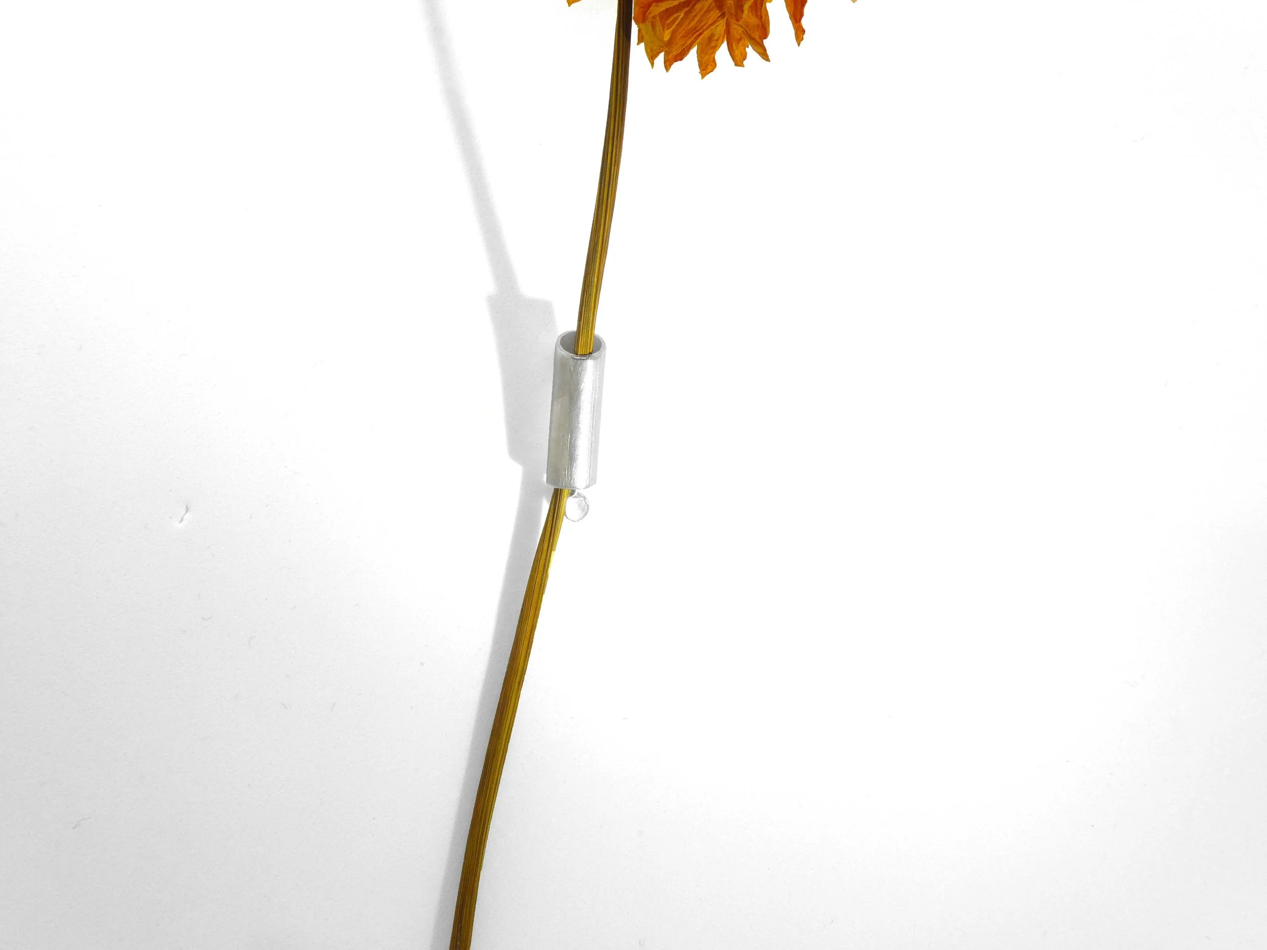 Minimalist silver brooch handmade in Switzerland, contemporary jewelry designed to hold a flower or leaf for a natural, seasonal look