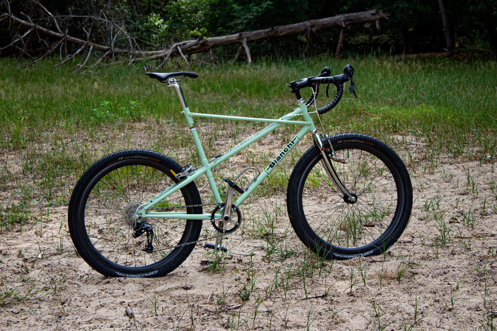 Bianchi_Ragno_refurbished_final_1.jpg
