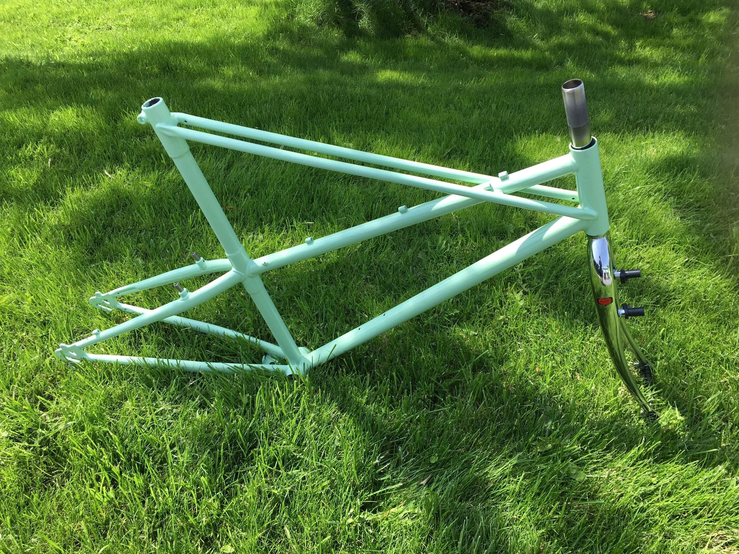 Bianchi_Ragon_frameset_paint-scaled.jpeg