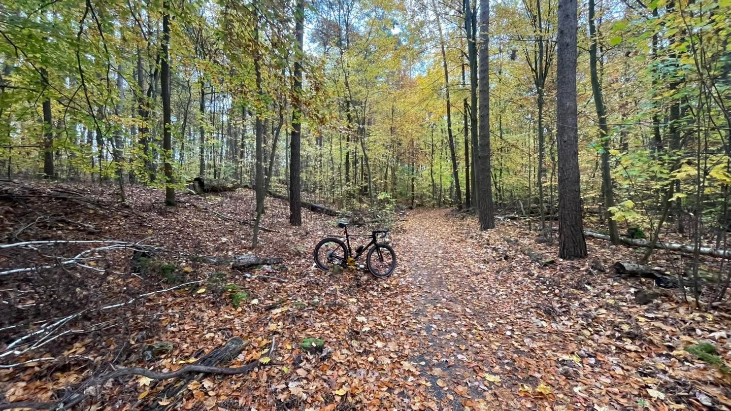So pretty. #bocksteinbikes #bocksteinwheels #bockstein #ridegravel #mtblove #doyourwork #rideforward #gravelbike #gravelracing #bikepacking #gravel #bikelife #gravelbike #gravelbikes #lifebehindbars