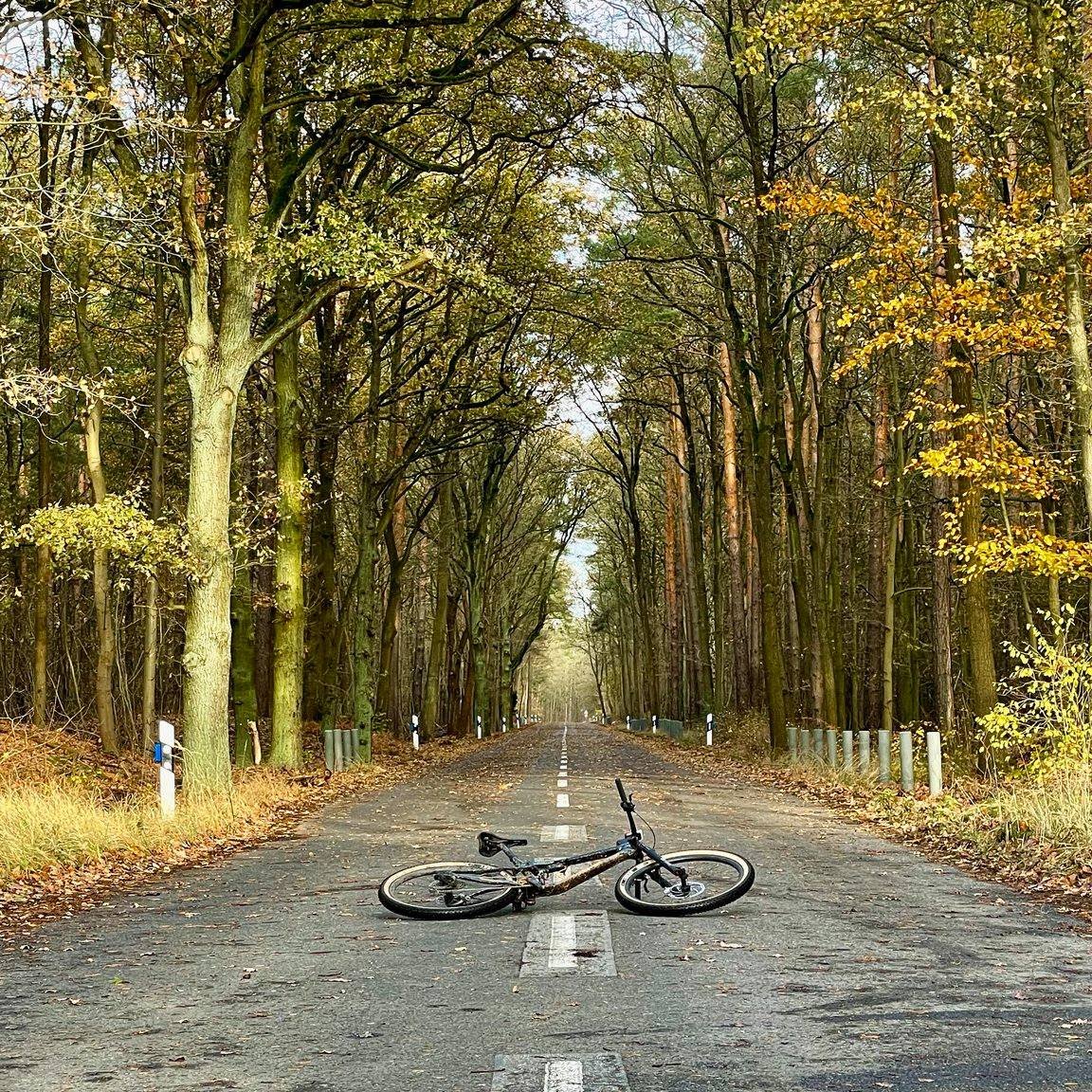 Heute ist Welttag der mentalen Gesundheit.

Du musst nicht weit reisen, um etwas f&uuml;r dich zu tun &ndash; manchmal reicht schon eine Stunde drau&szlig;en. Raus aus dem Alltag, rauf aufs Rad, rein in die Natur.

Studien zeigen, dass Zeit im Gr&uum