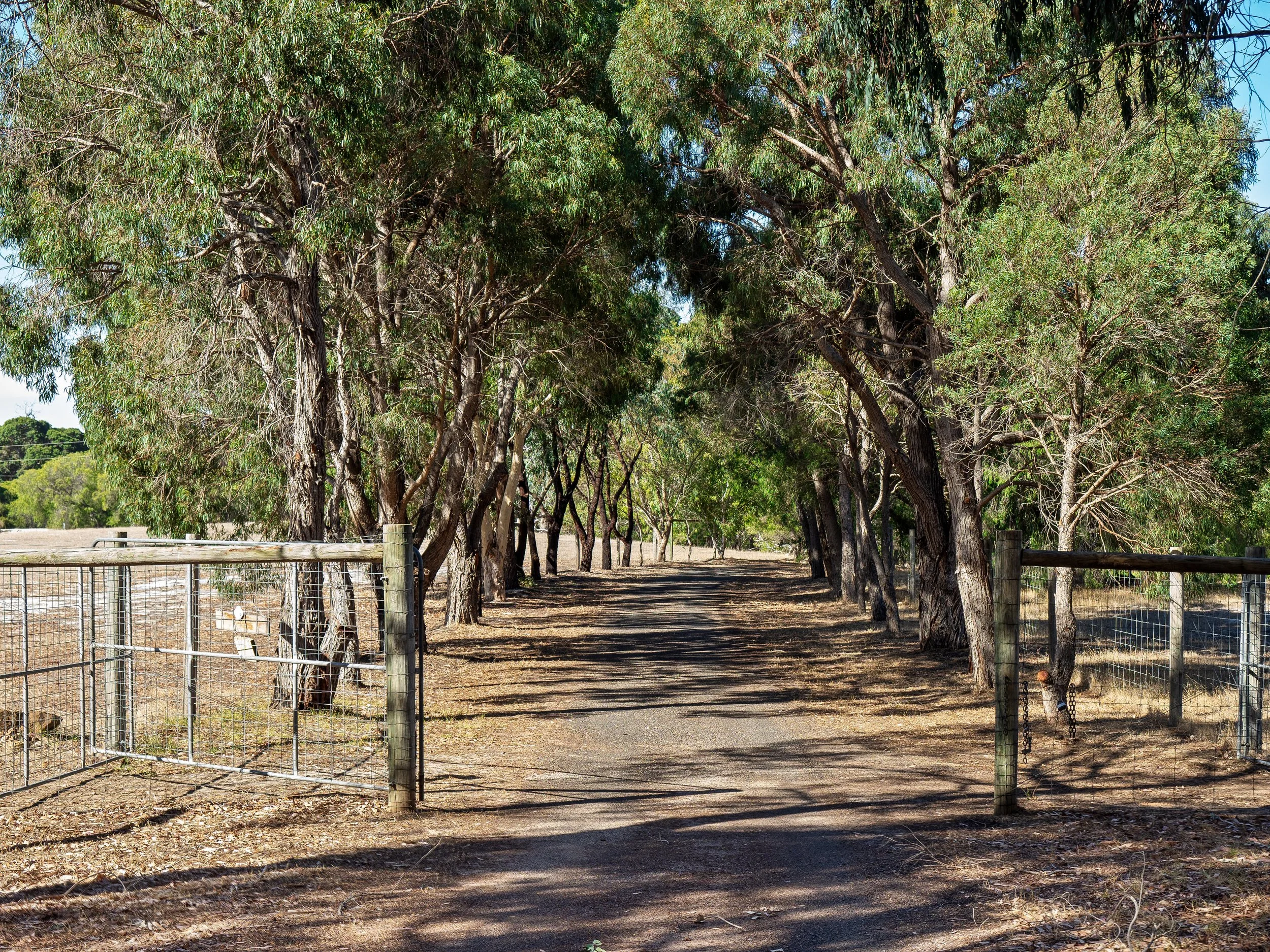 Whispering Pines 5021 Caves Rd Cowaramup-27.jpg