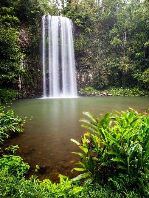 Millaa-Millaa-Falls.jpg