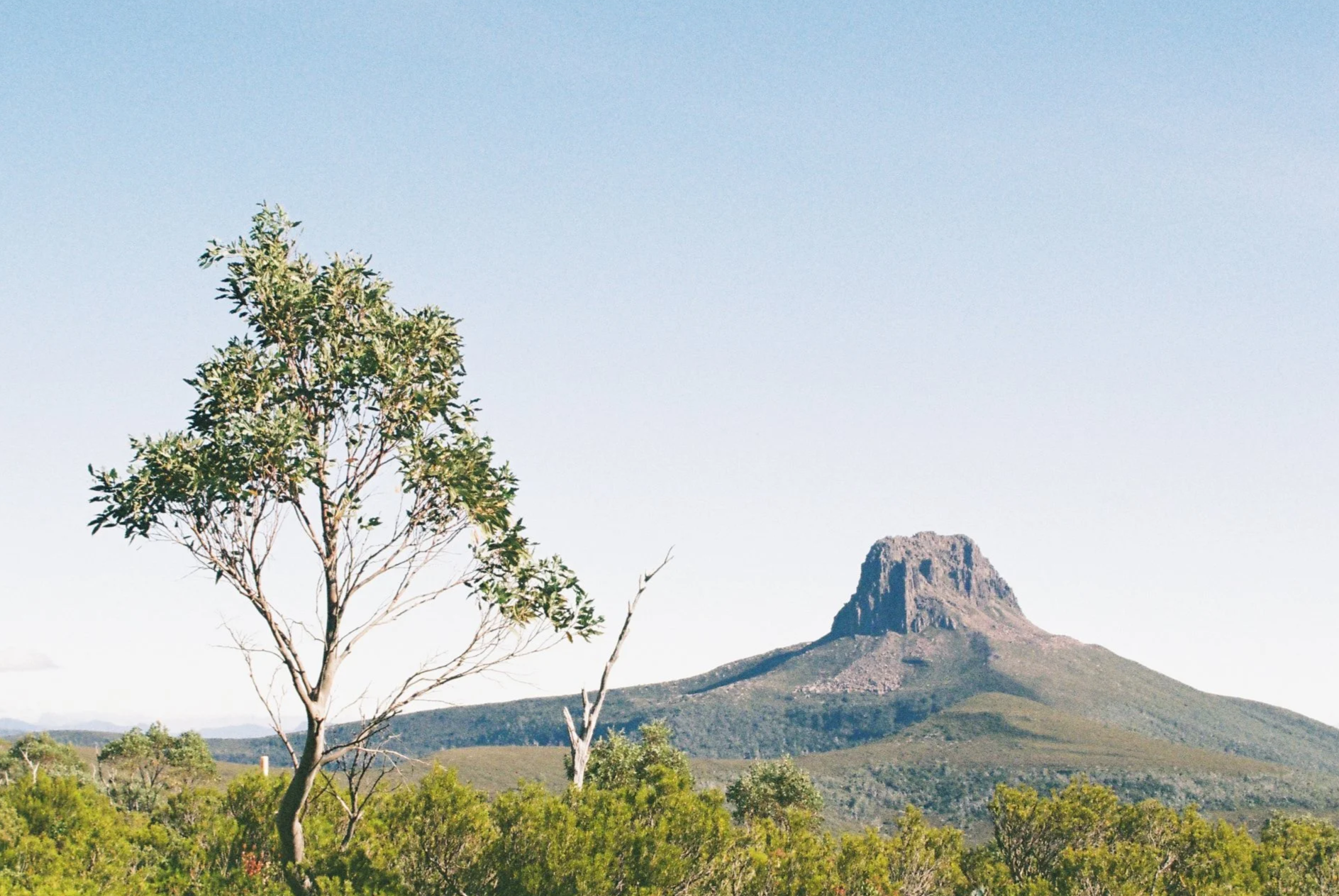 Adventure Consultancy