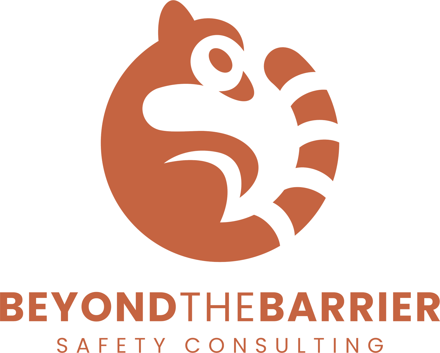 Beyond The Barrier Safety Consulting, LLC