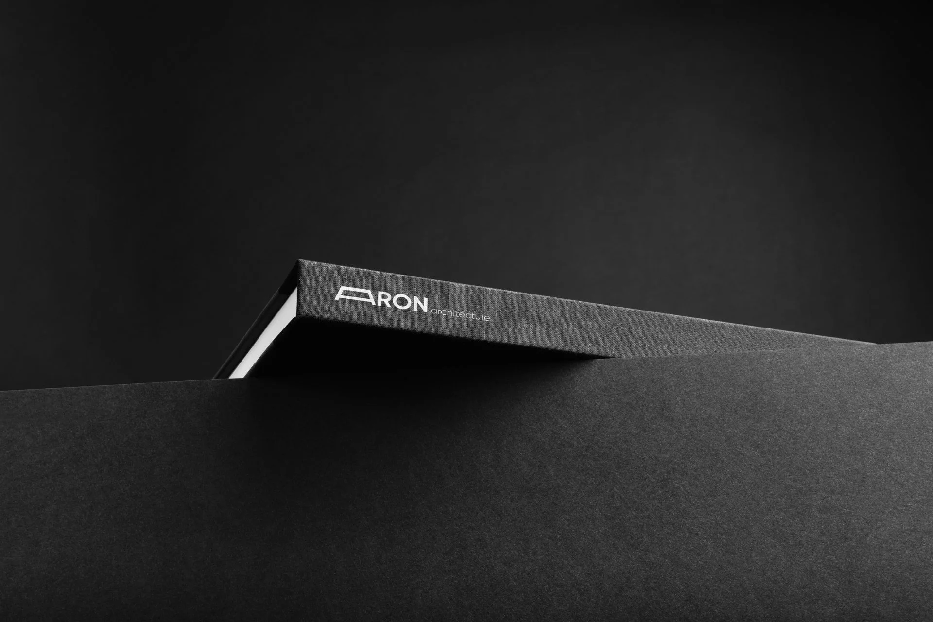 Aron-04.jpg