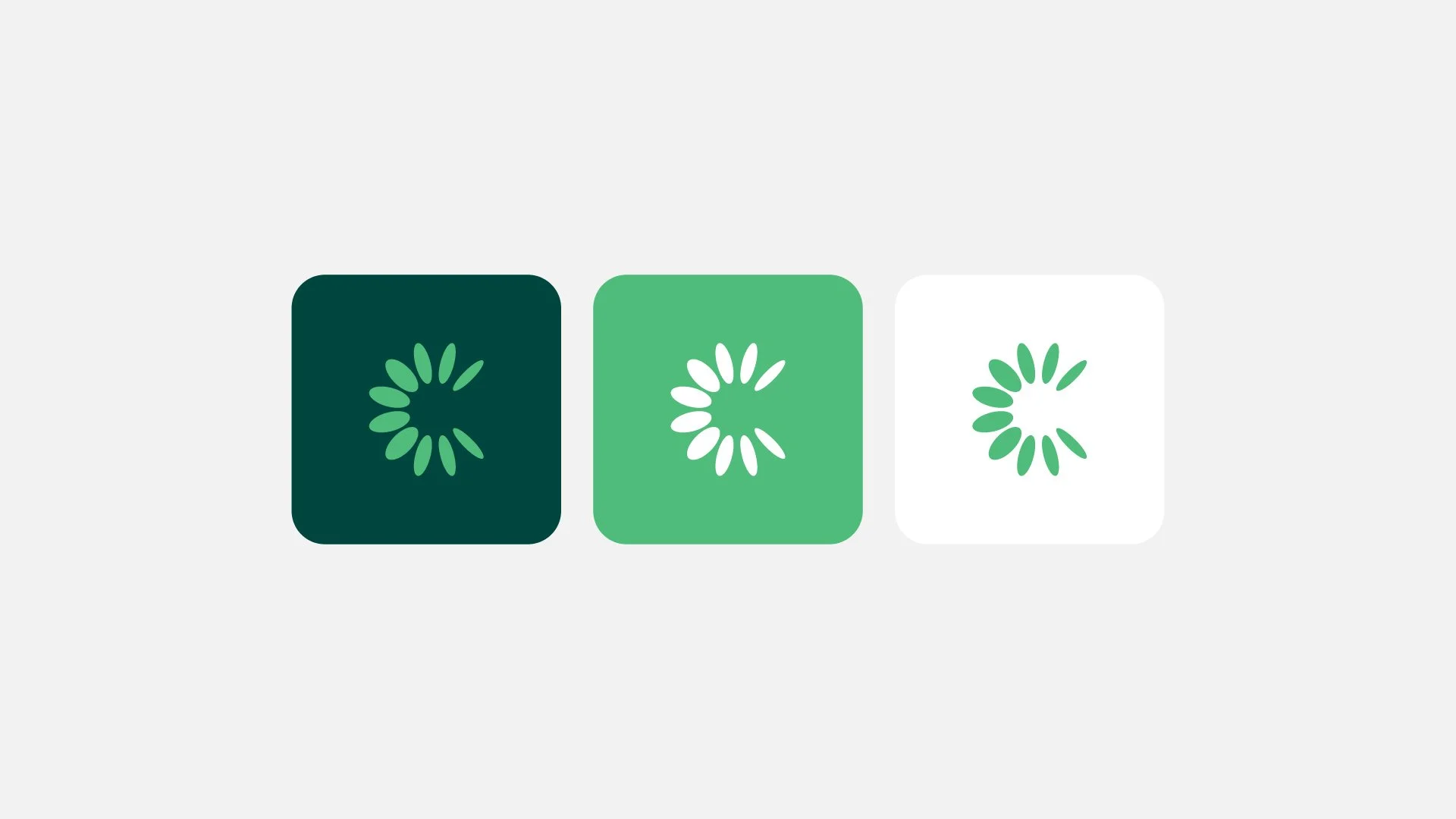 Conserved-Brand-Identity-05.jpg